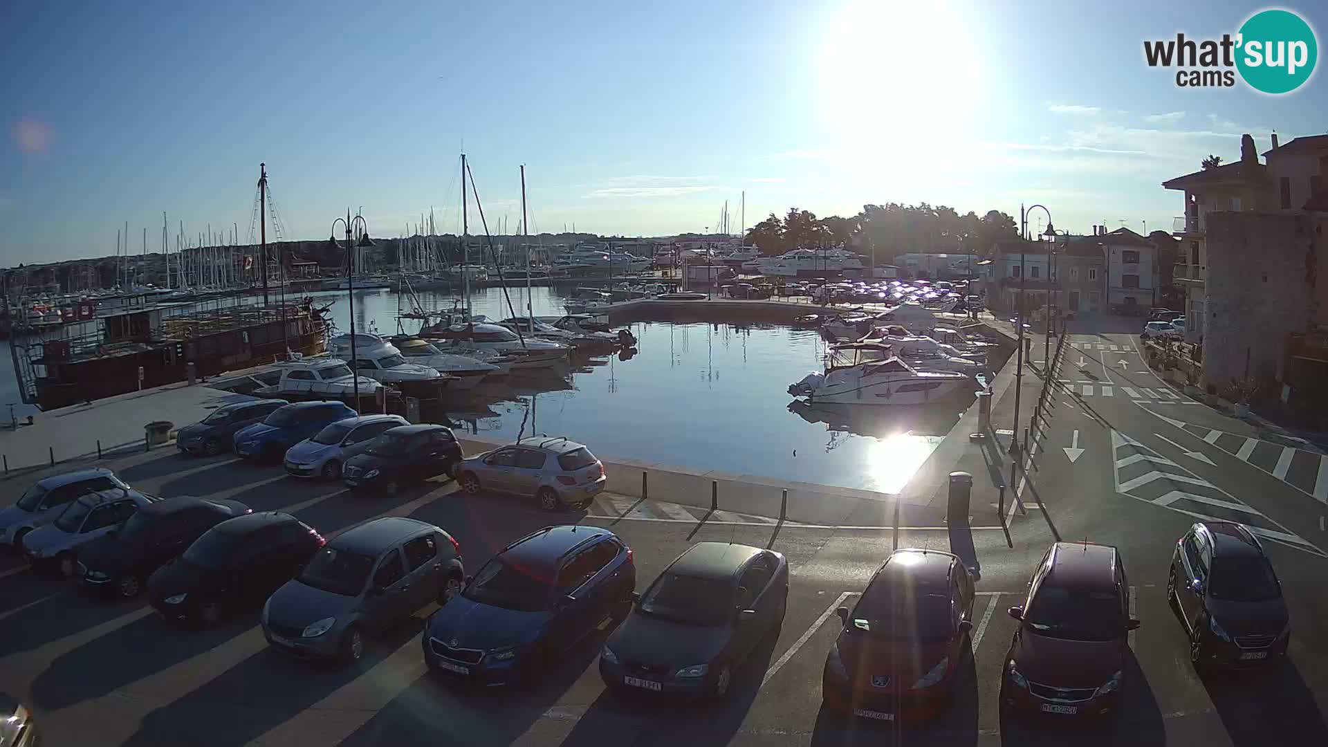 Novigrad | Porporela marina