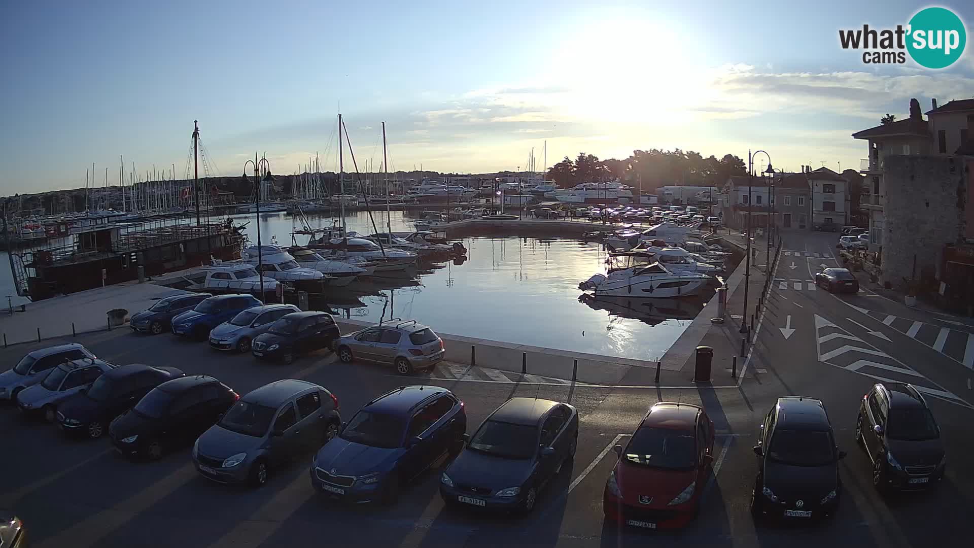 Novigrad | Porporela marina