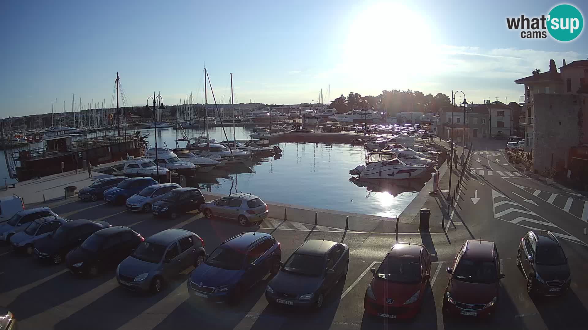 Novigrad | Porporela marina