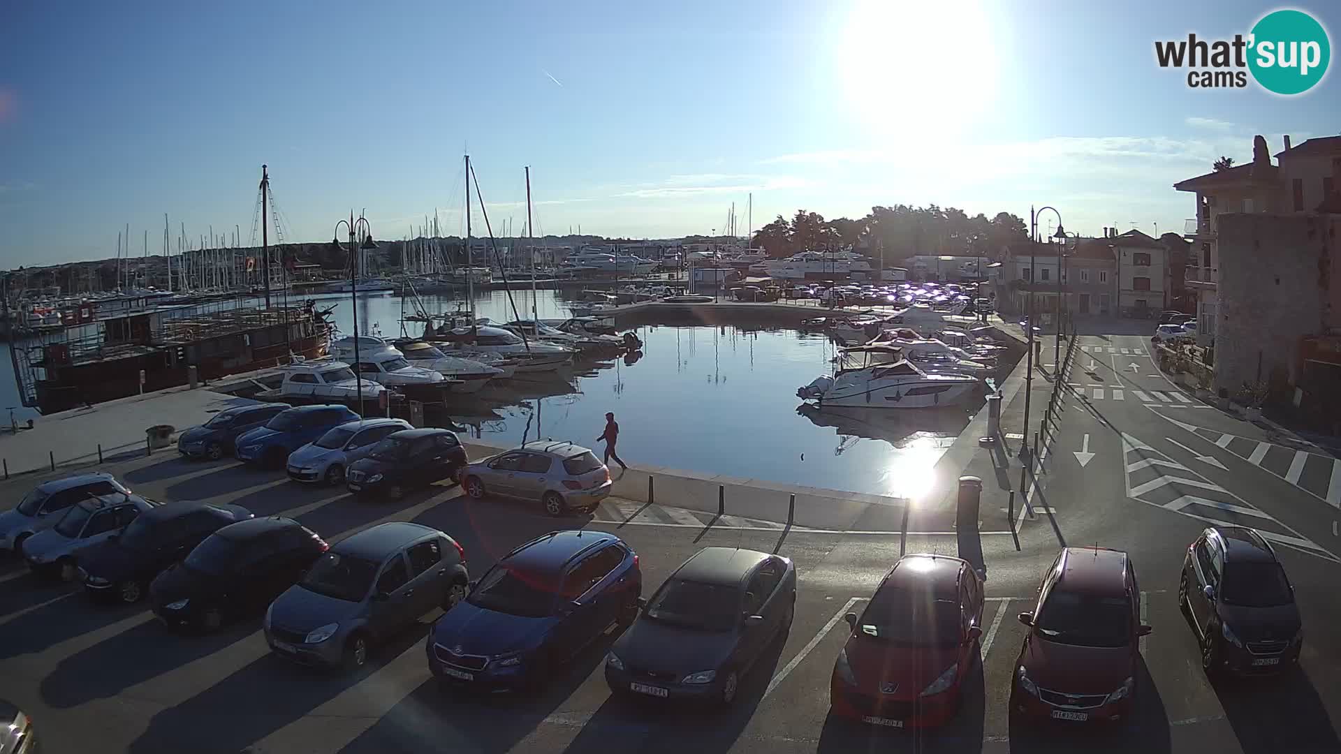 Novigrad | Porporela marina