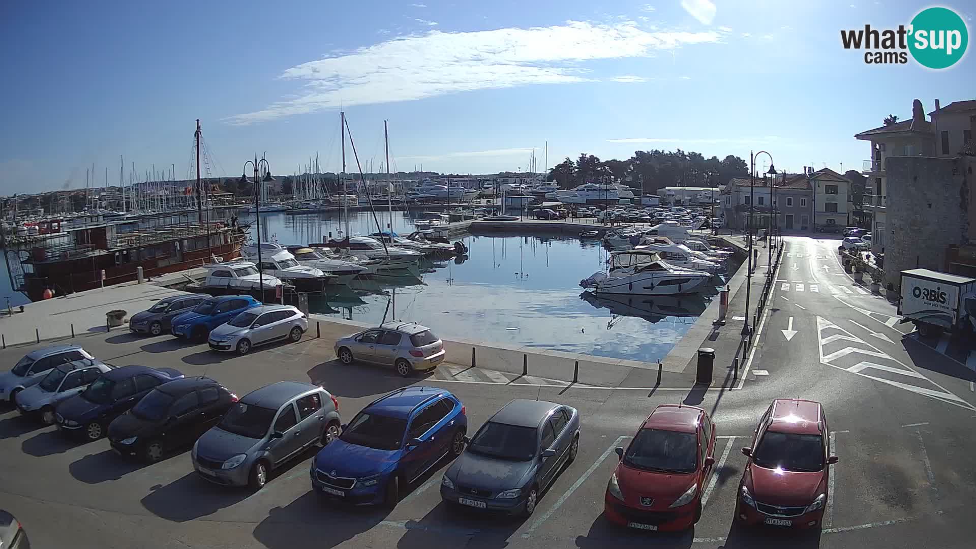 Novigrad | Porporela marina