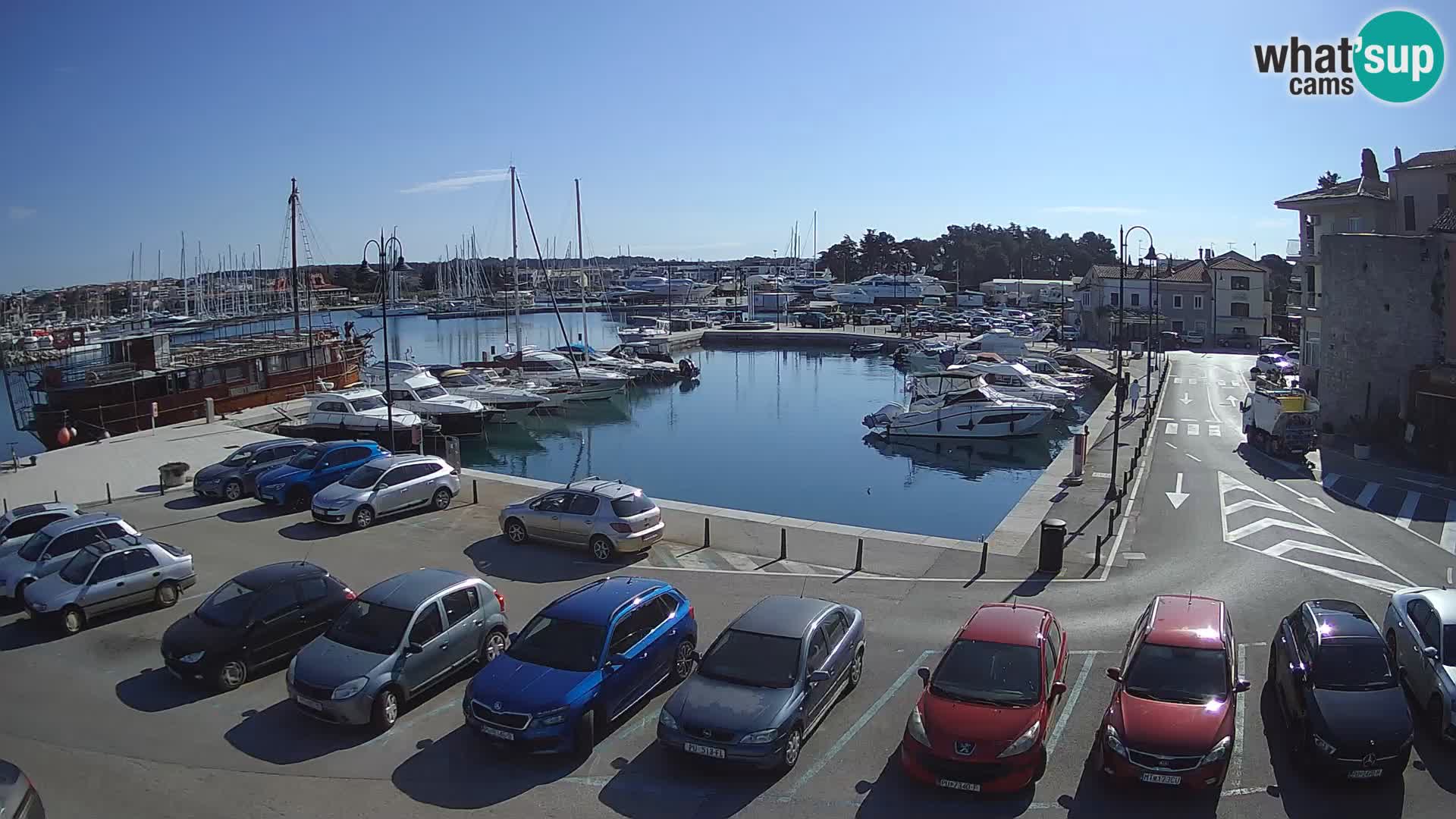 Novigrad | Porporela marina