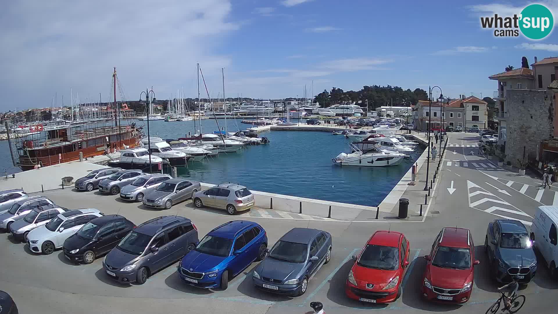 Novigrad | Porporela marina