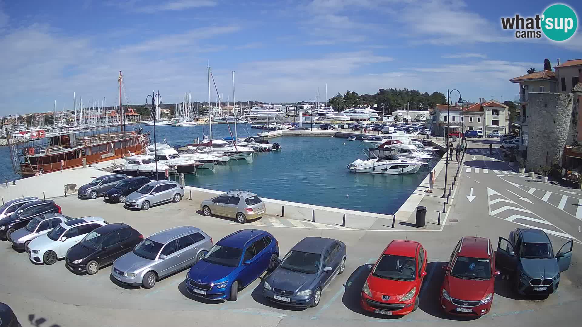 Novigrad | Porporela marina