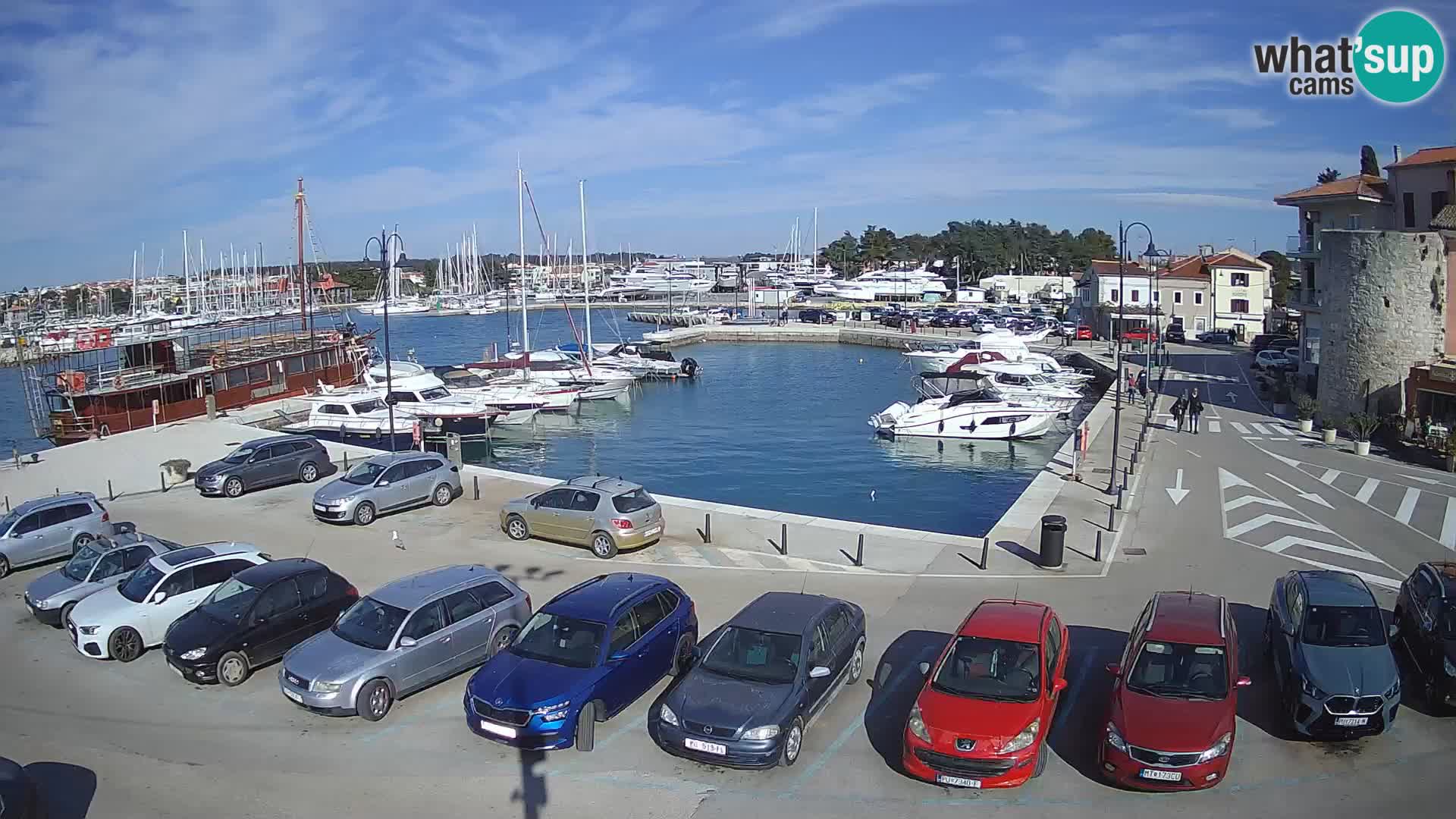 Novigrad | Porporela marina