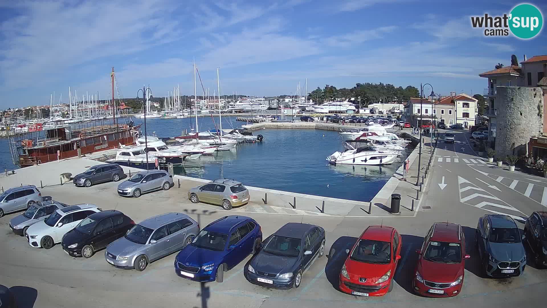 Novigrad | Porporela marina