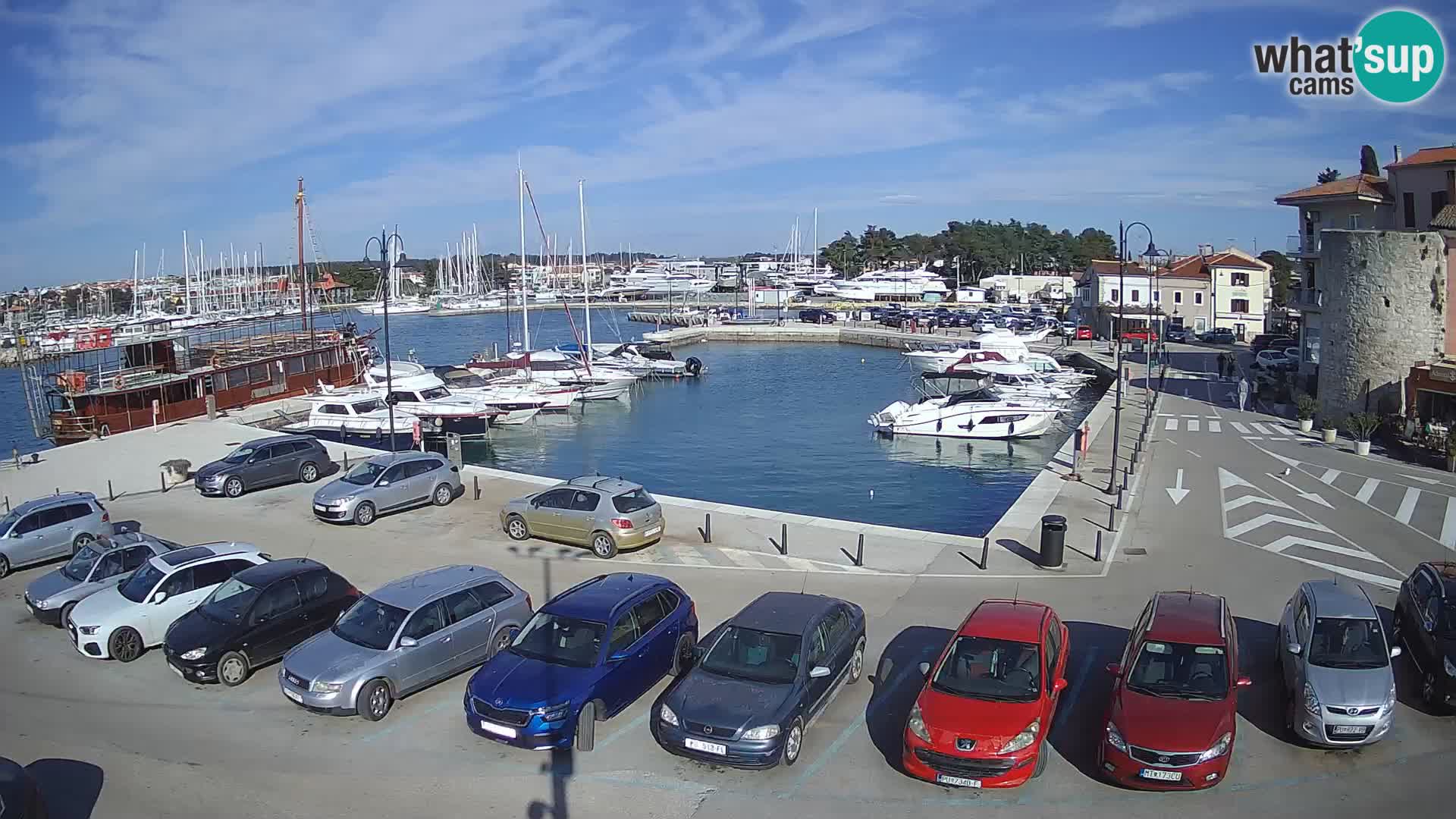 Novigrad | Porporela marina