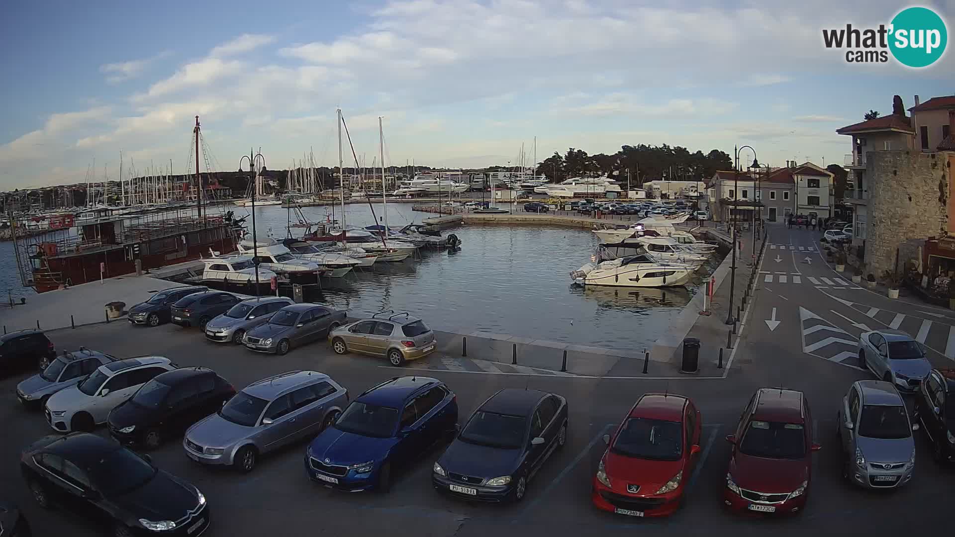 Novigrad | Porporela marina