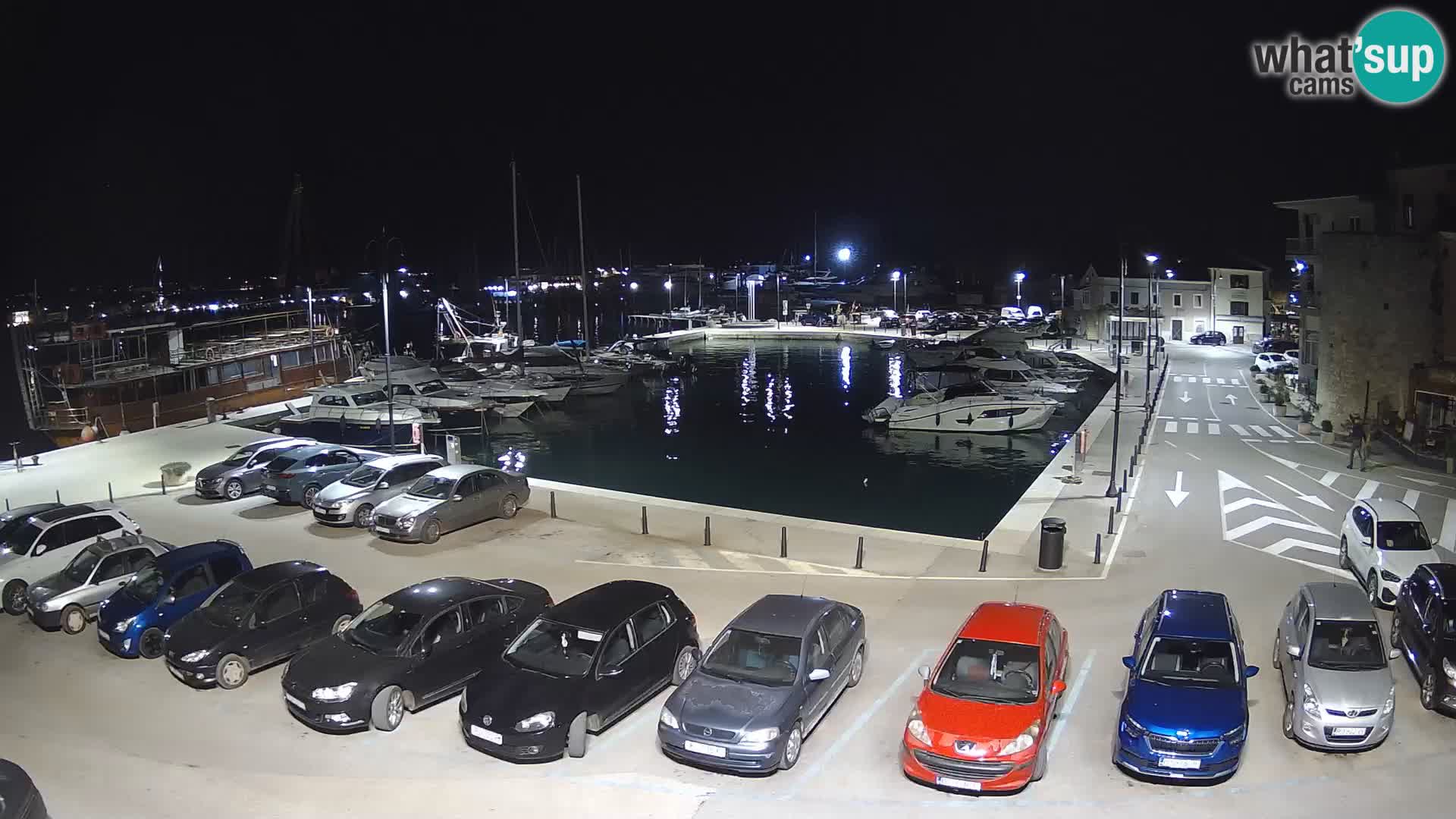 Novigrad | Porporela marina