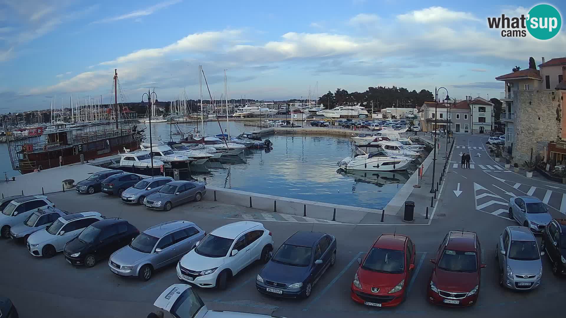 Novigrad | Porporela marina