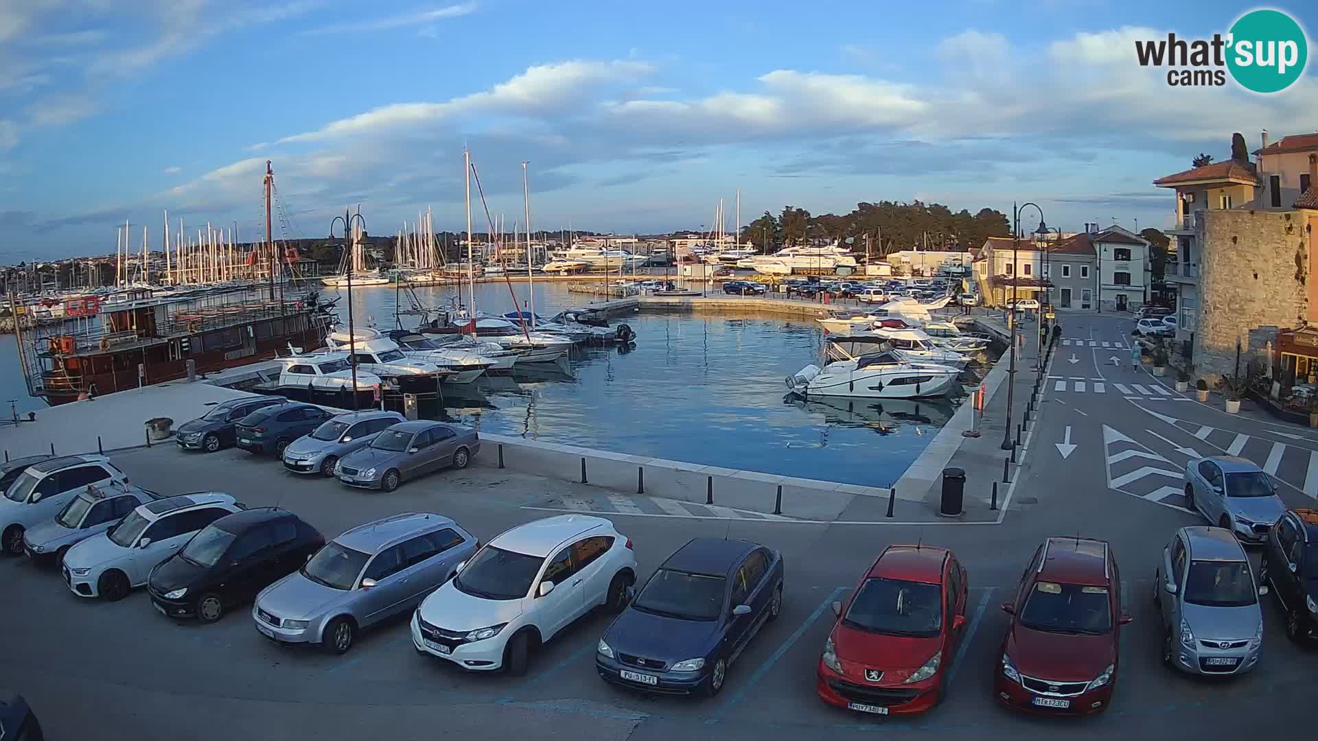Novigrad | Porporela marina