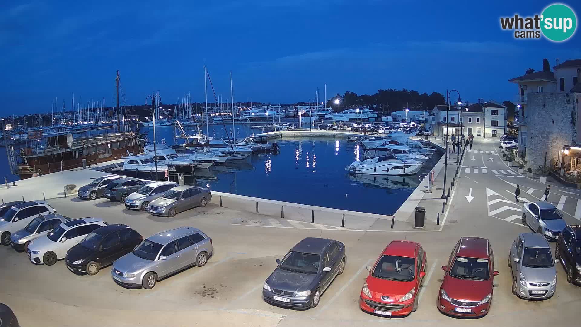 Novigrad | Porporela marina