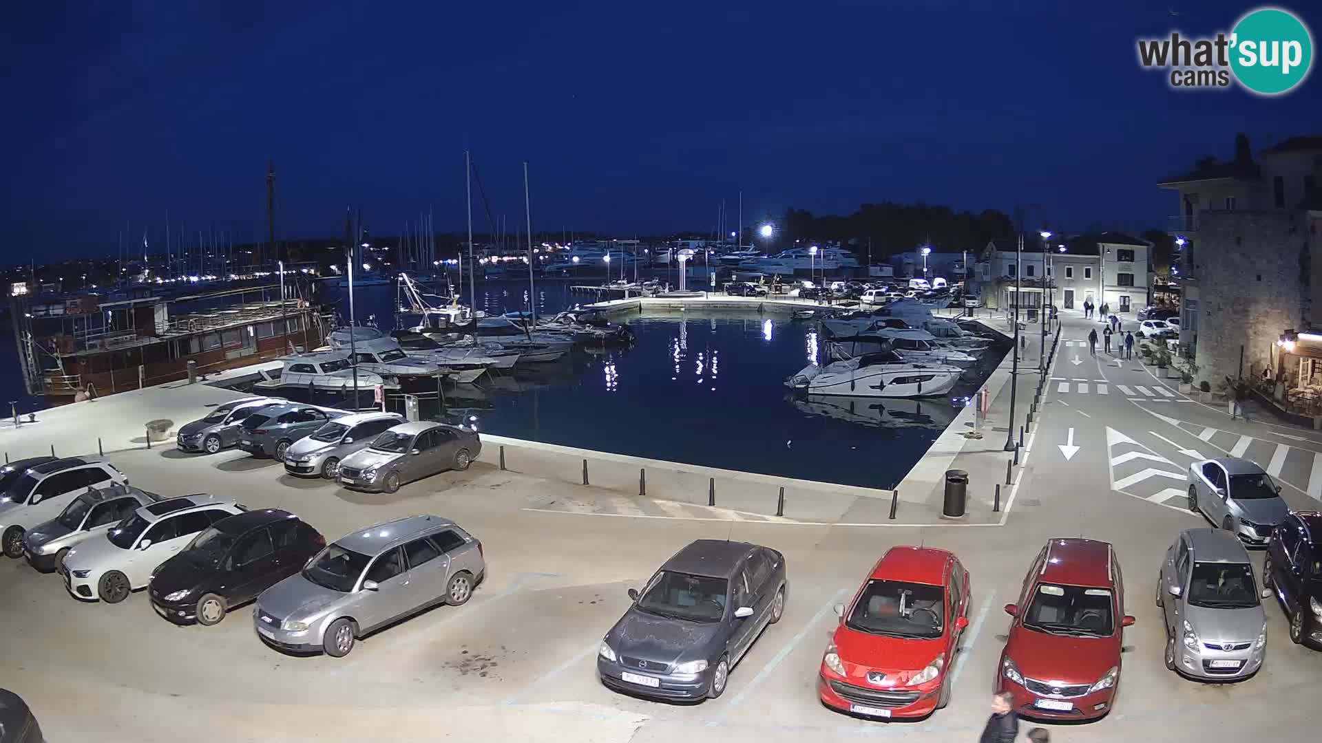 Novigrad | Porporela marina