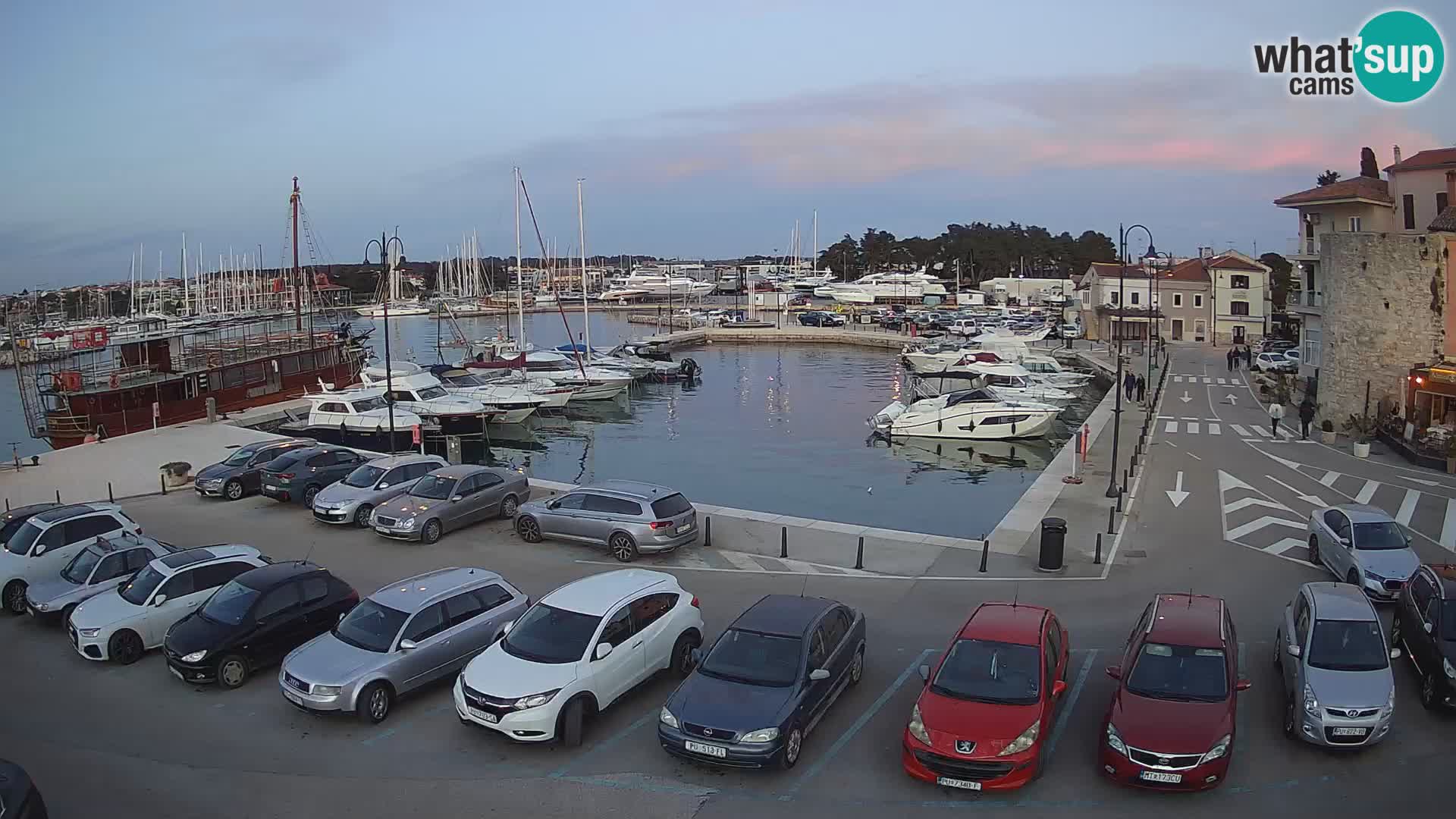 Novigrad | Porporela marina