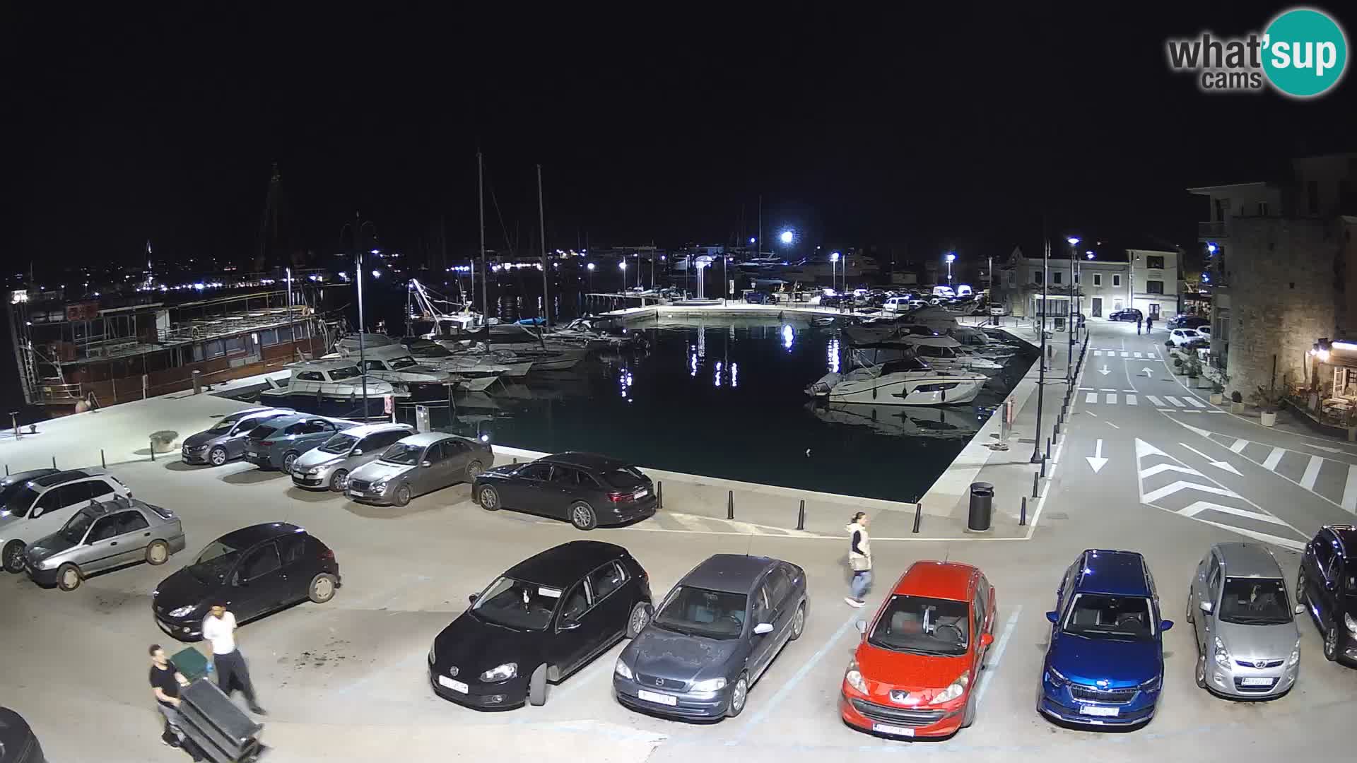 Novigrad | Porporela marina