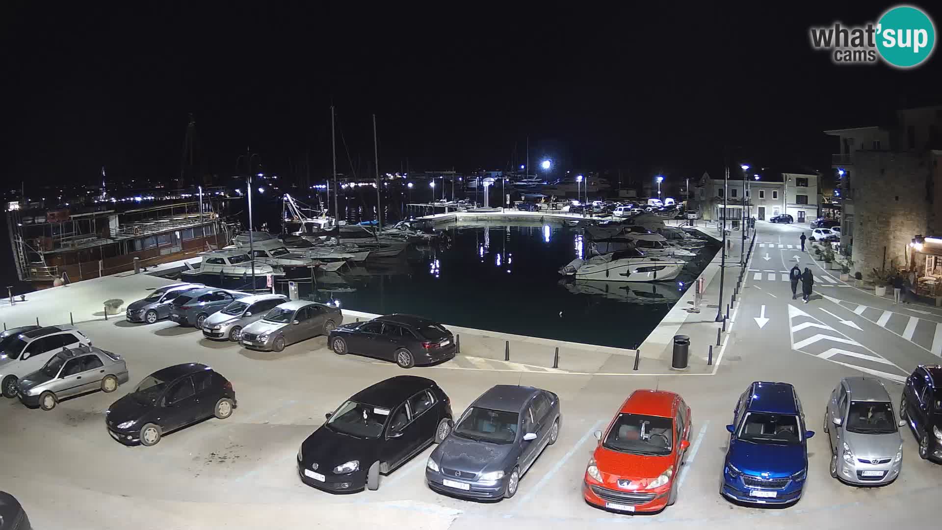 Novigrad | Porporela marina