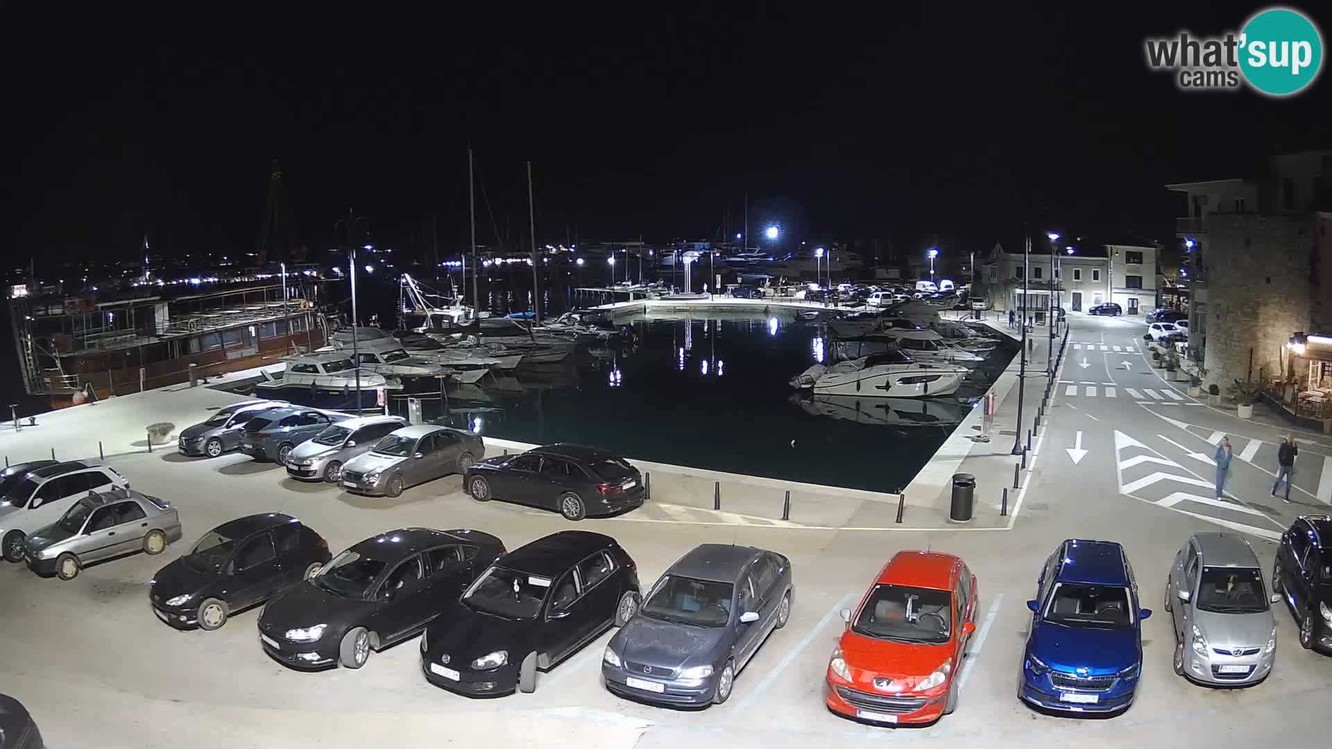 Novigrad | Porporela marina