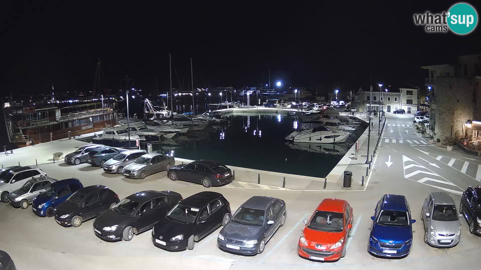 Novigrad | Porporela marina