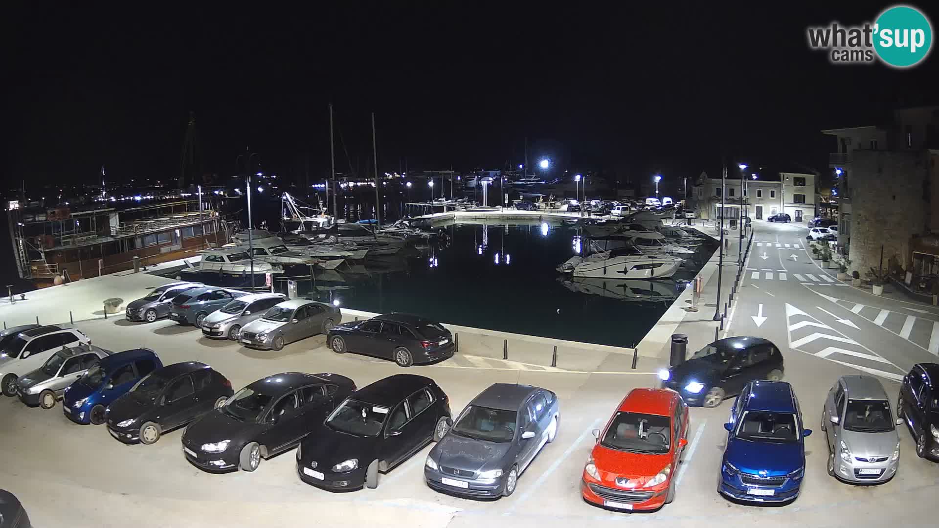 Novigrad | Porporela marina