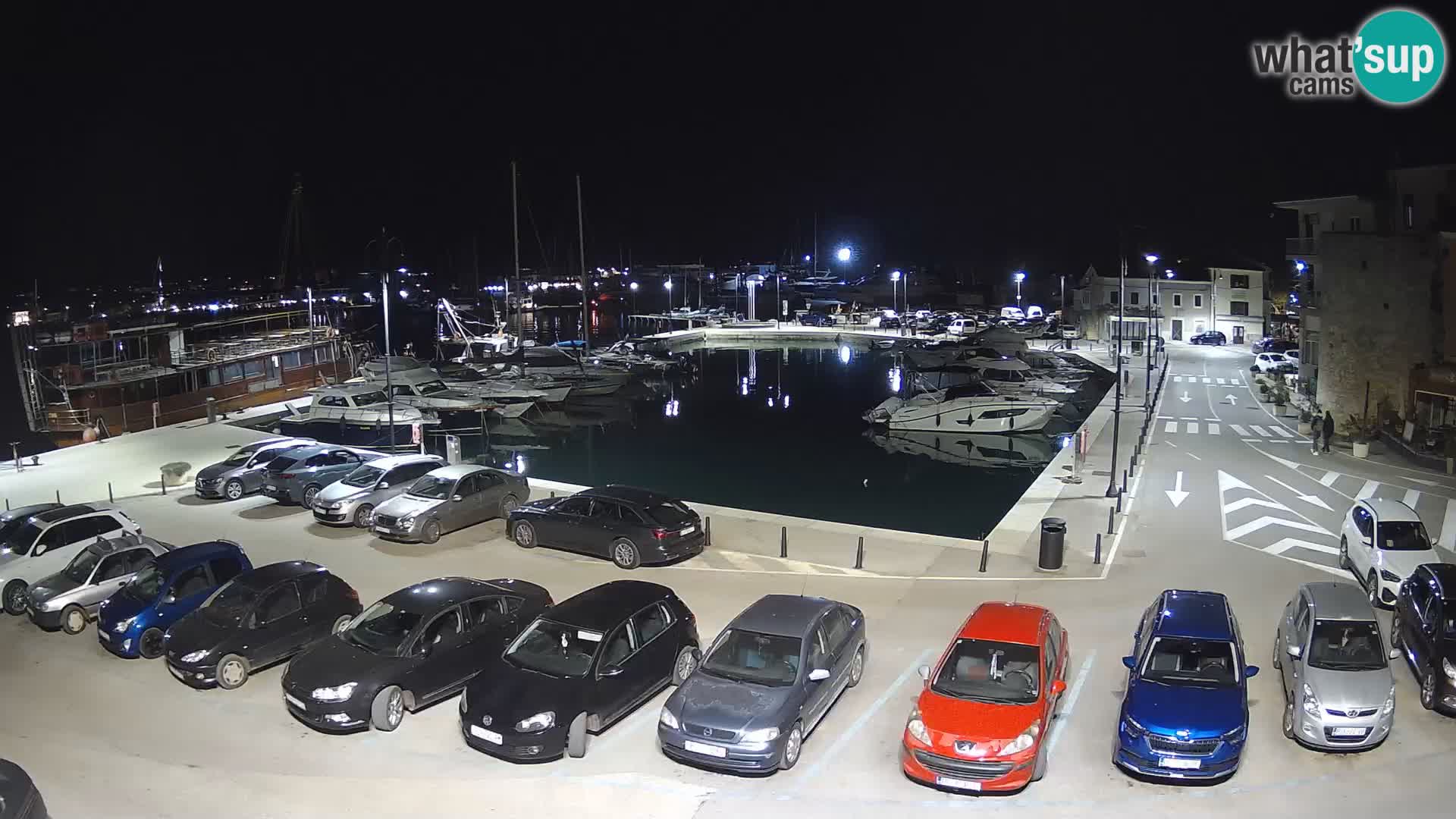 Novigrad | Porporela marina