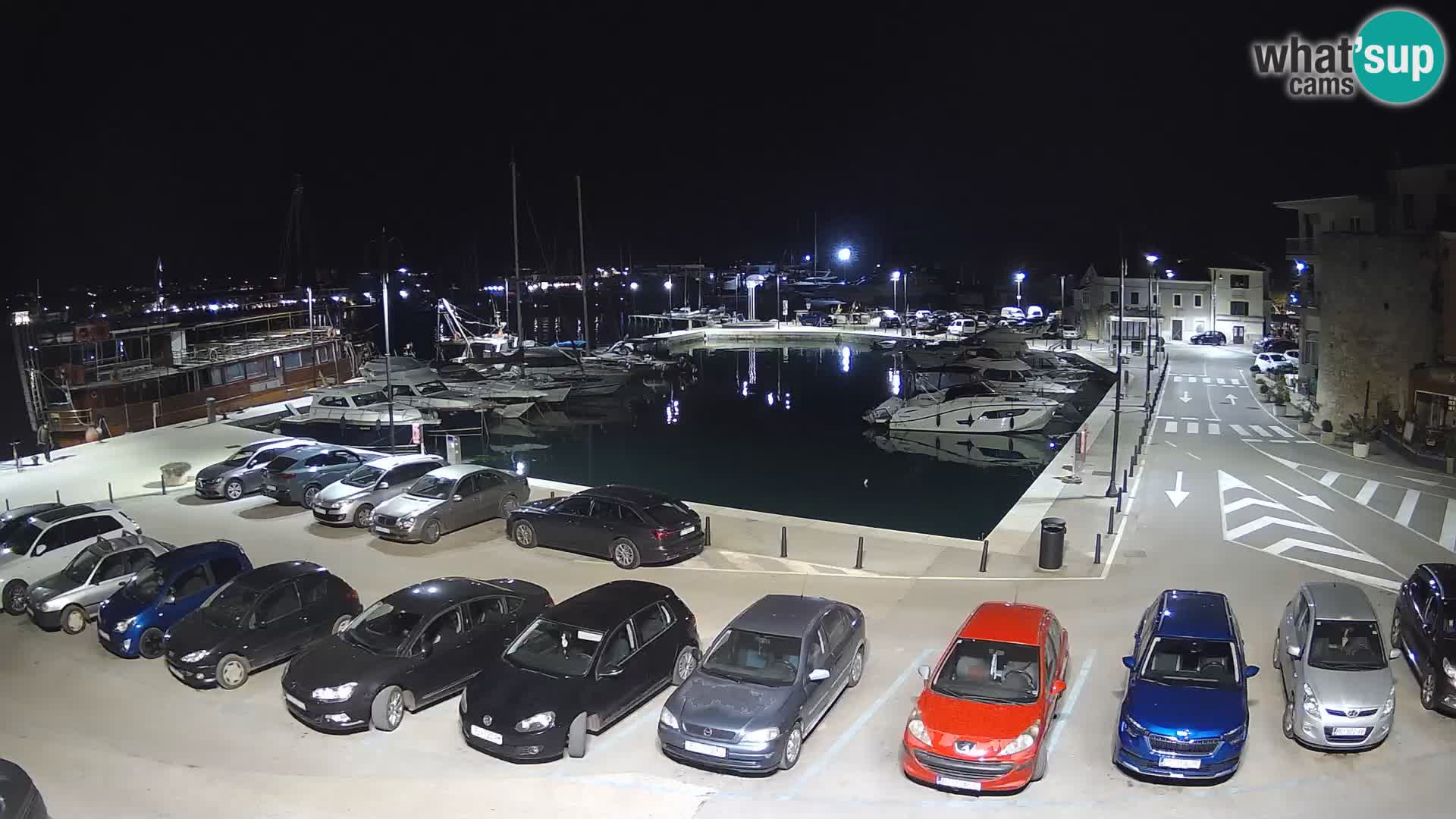 Novigrad | Porporela marina