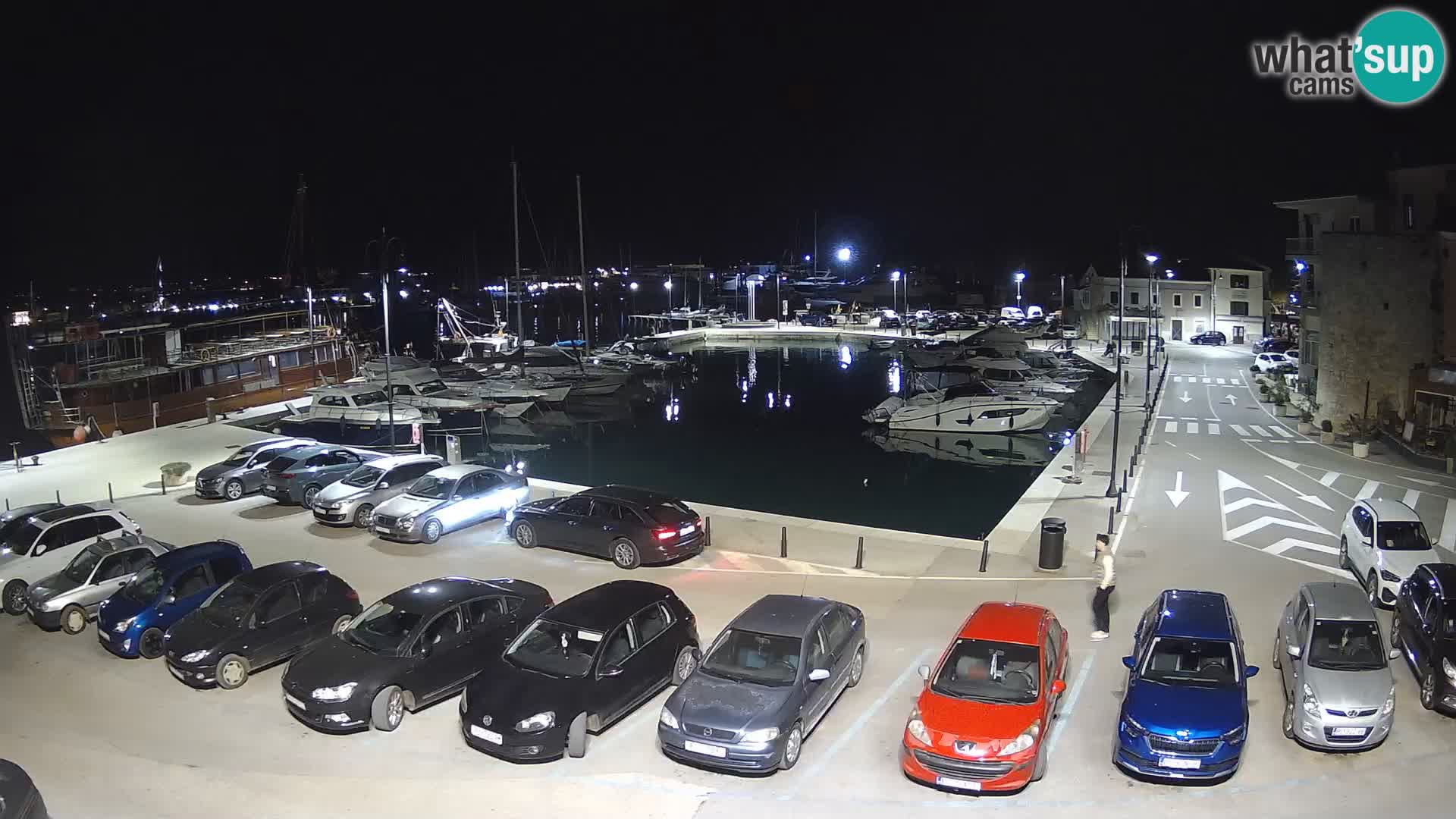 Novigrad | Porporela marina