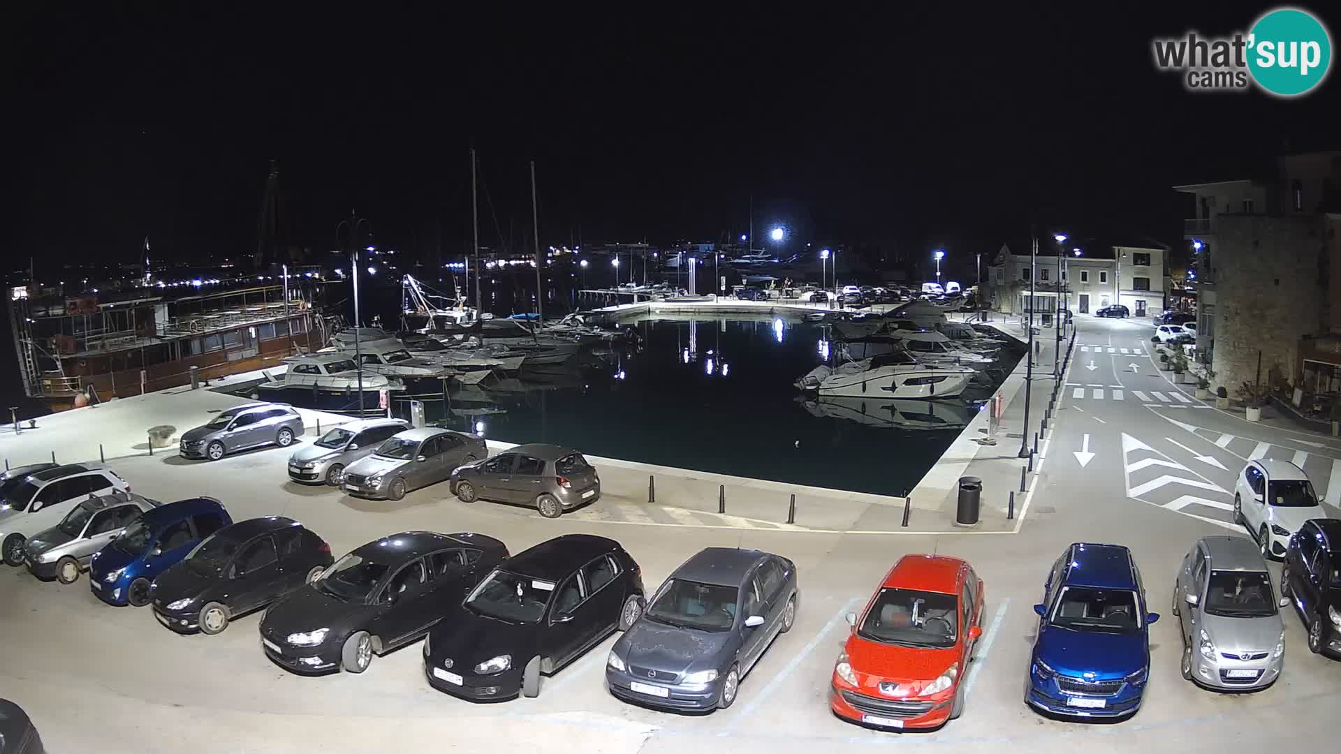 Novigrad | Porporela marina