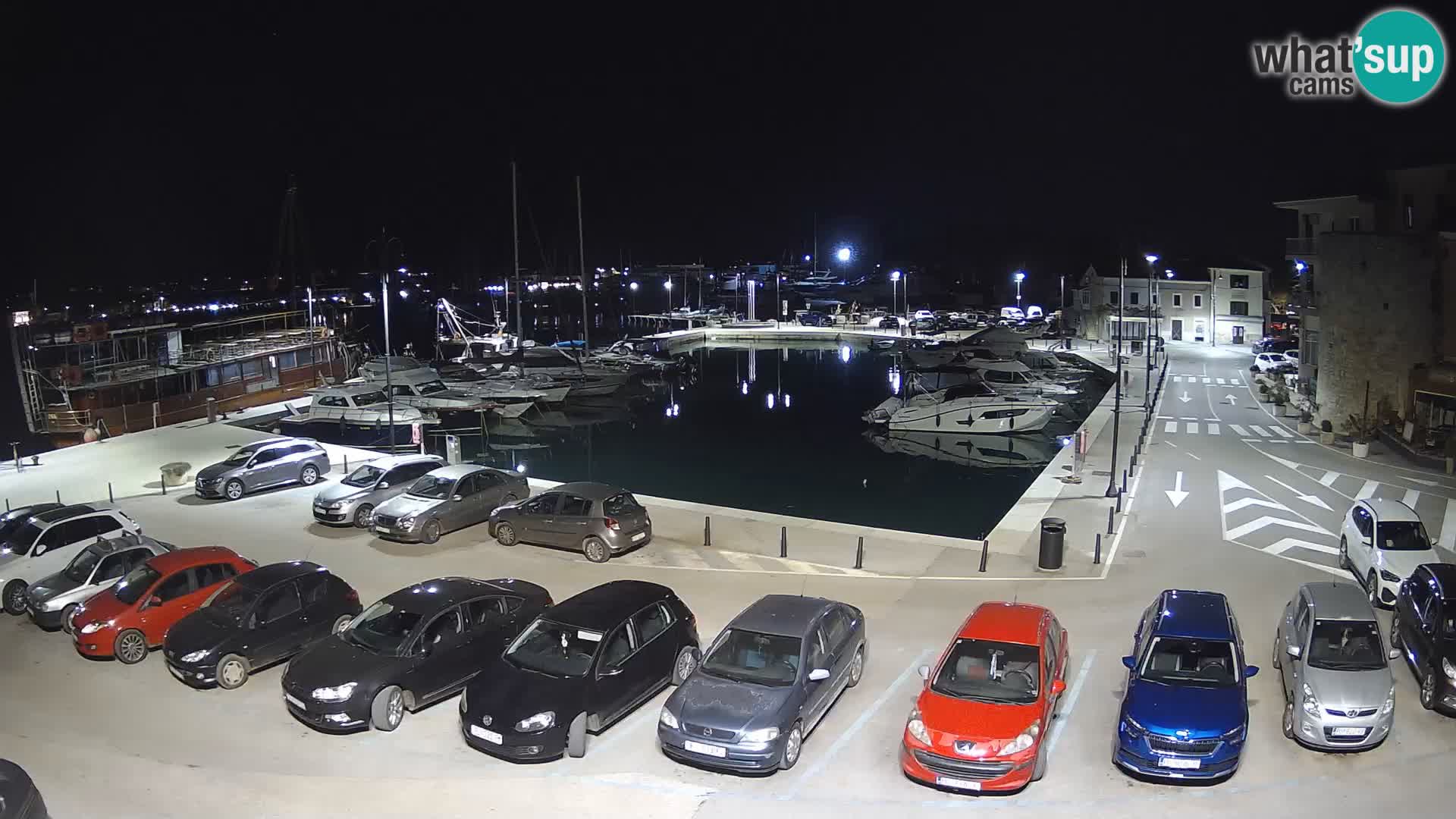Novigrad | Porporela marina