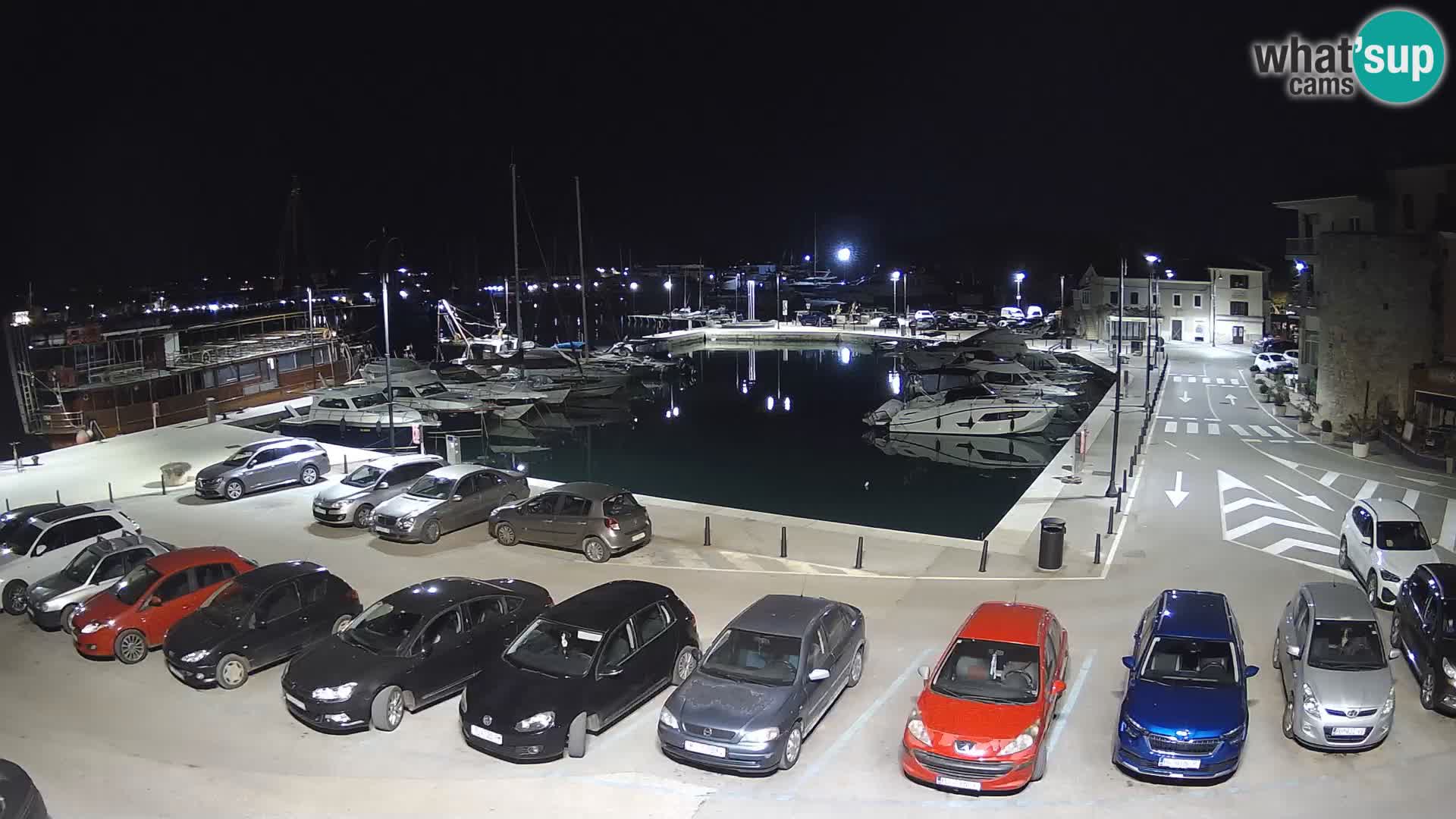 Novigrad | Porporela marina