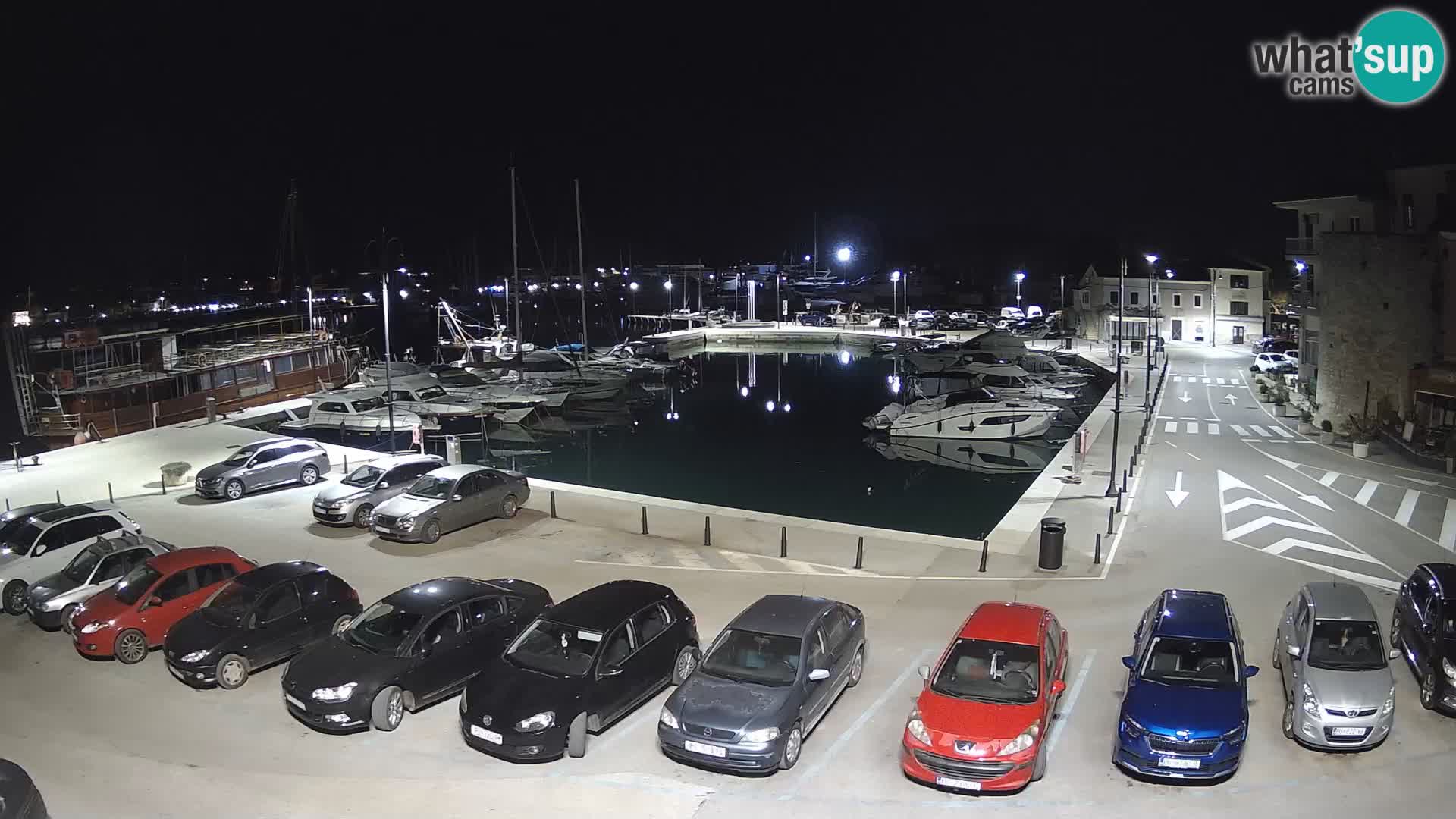 Novigrad | Porporela marina