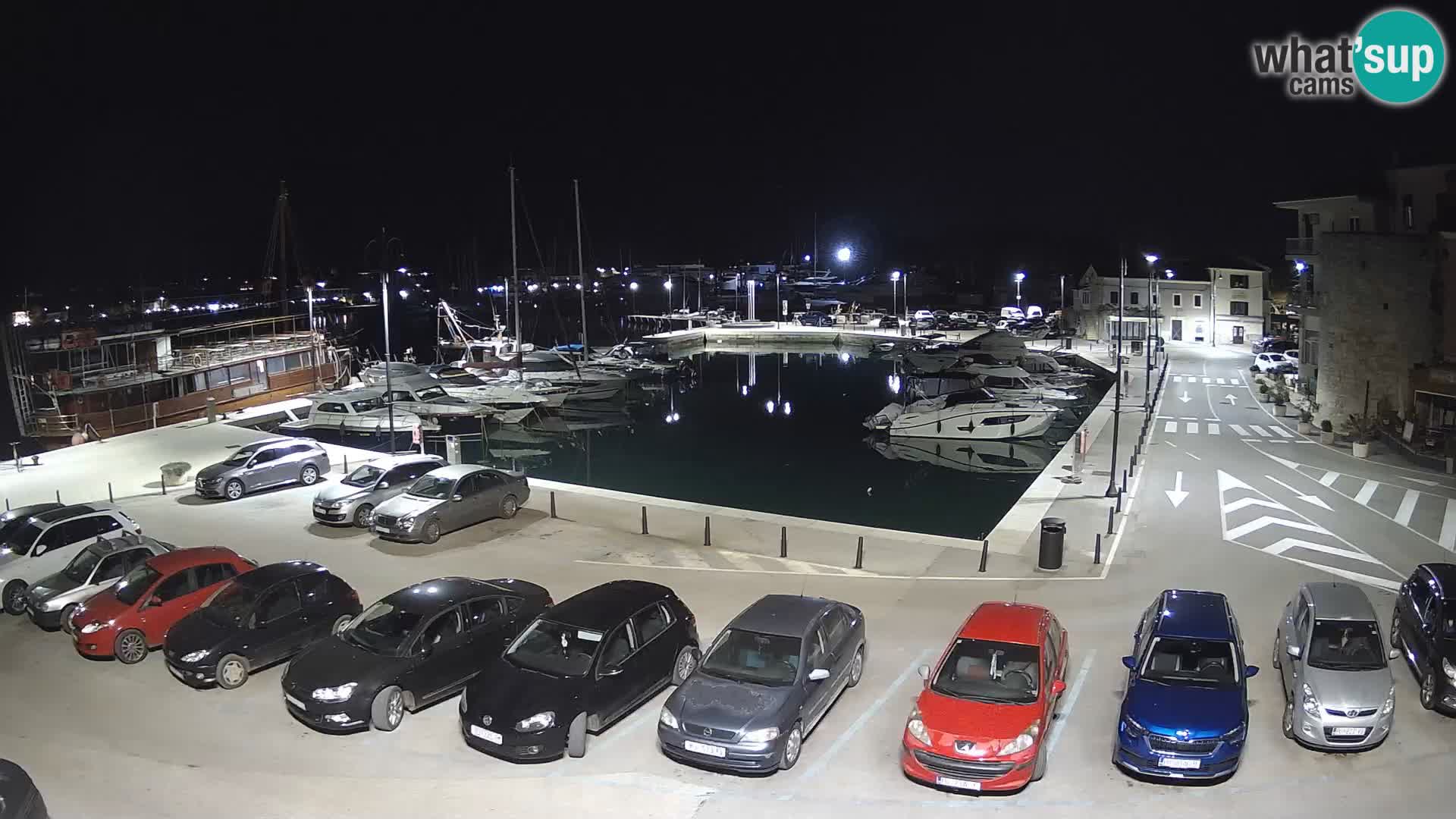 Novigrad | Porporela marina