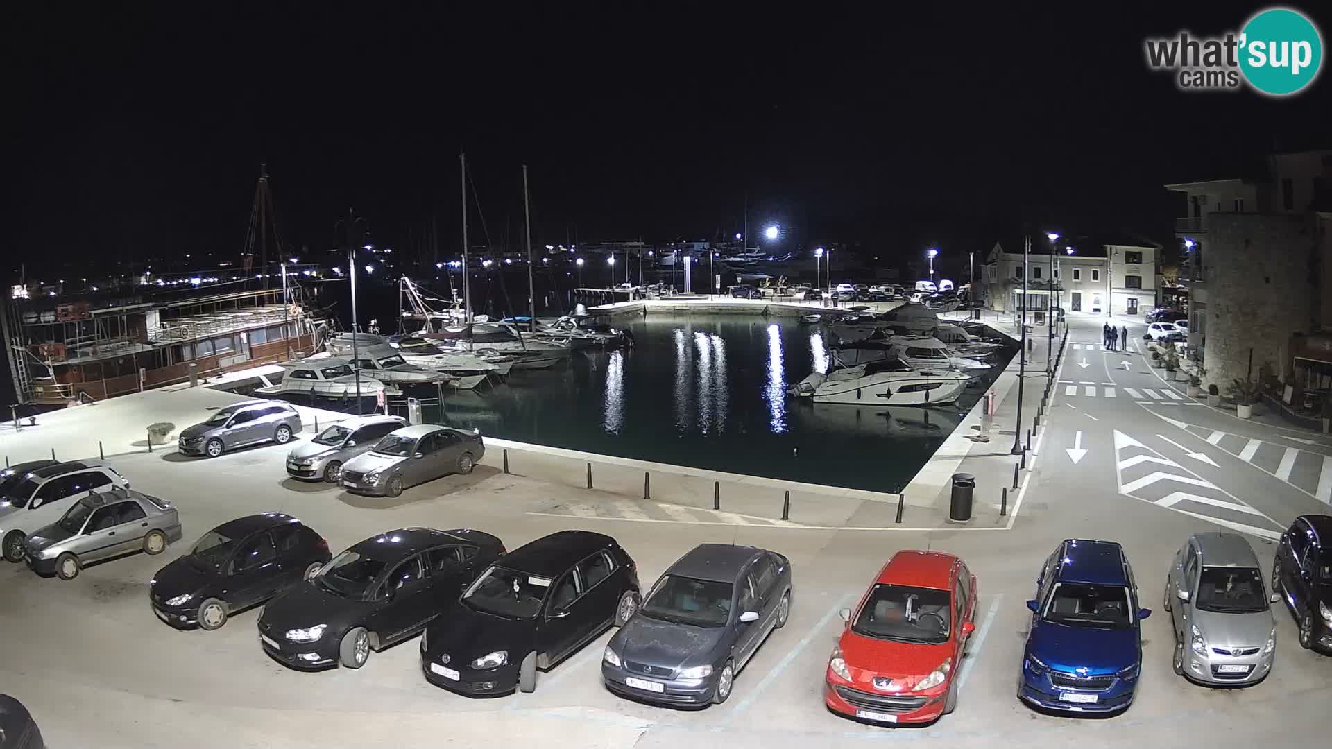 Novigrad | Porporela marina