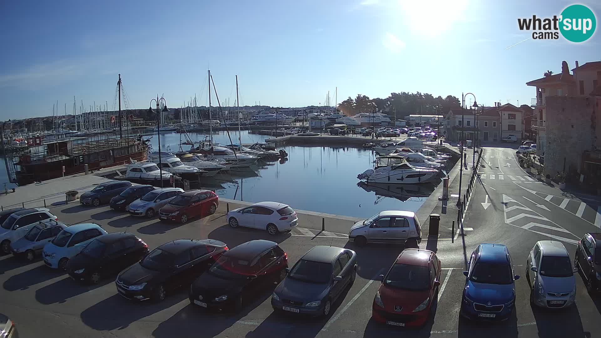 Novigrad | Porporela marina