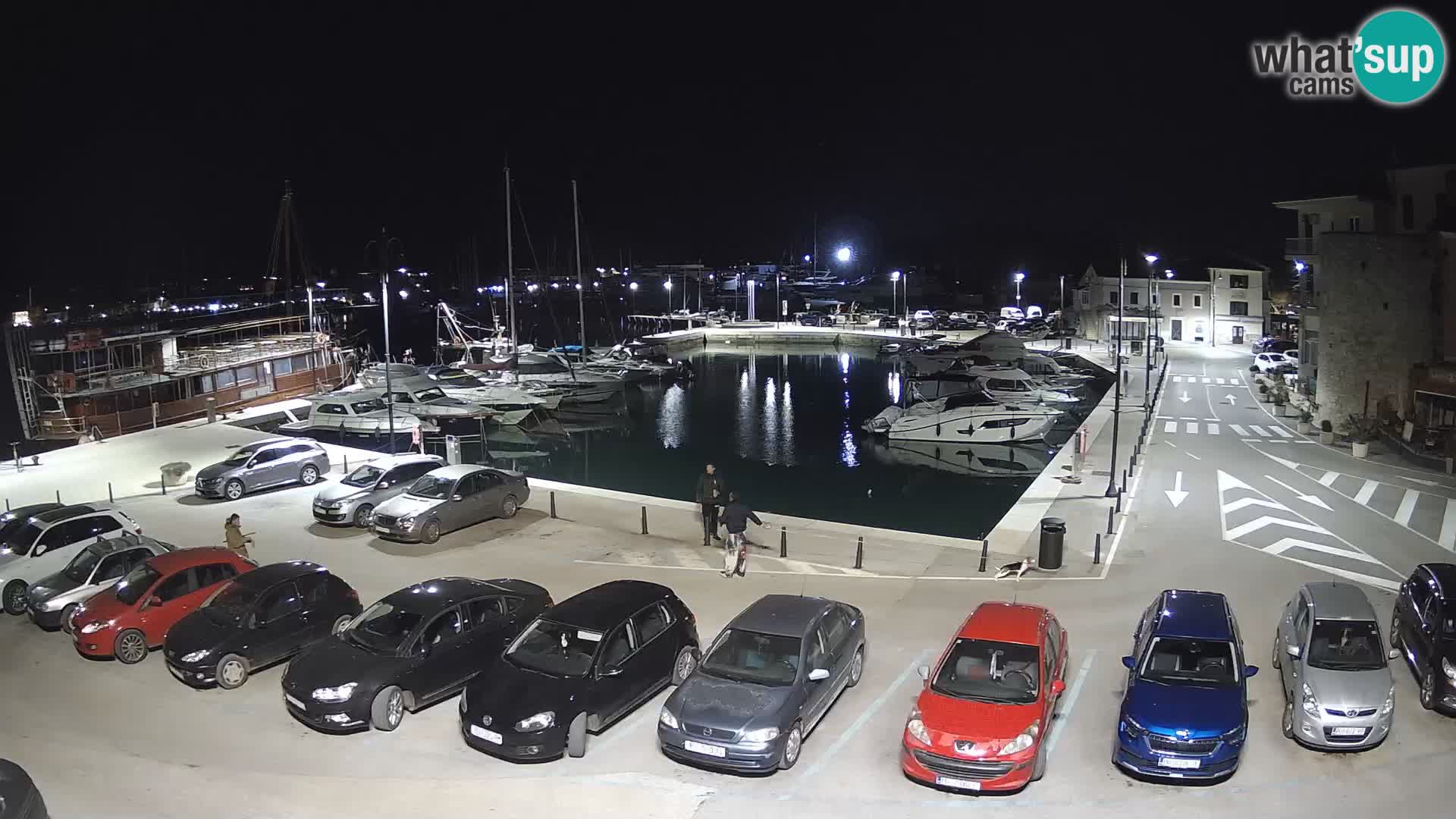 Novigrad | Porporela marina