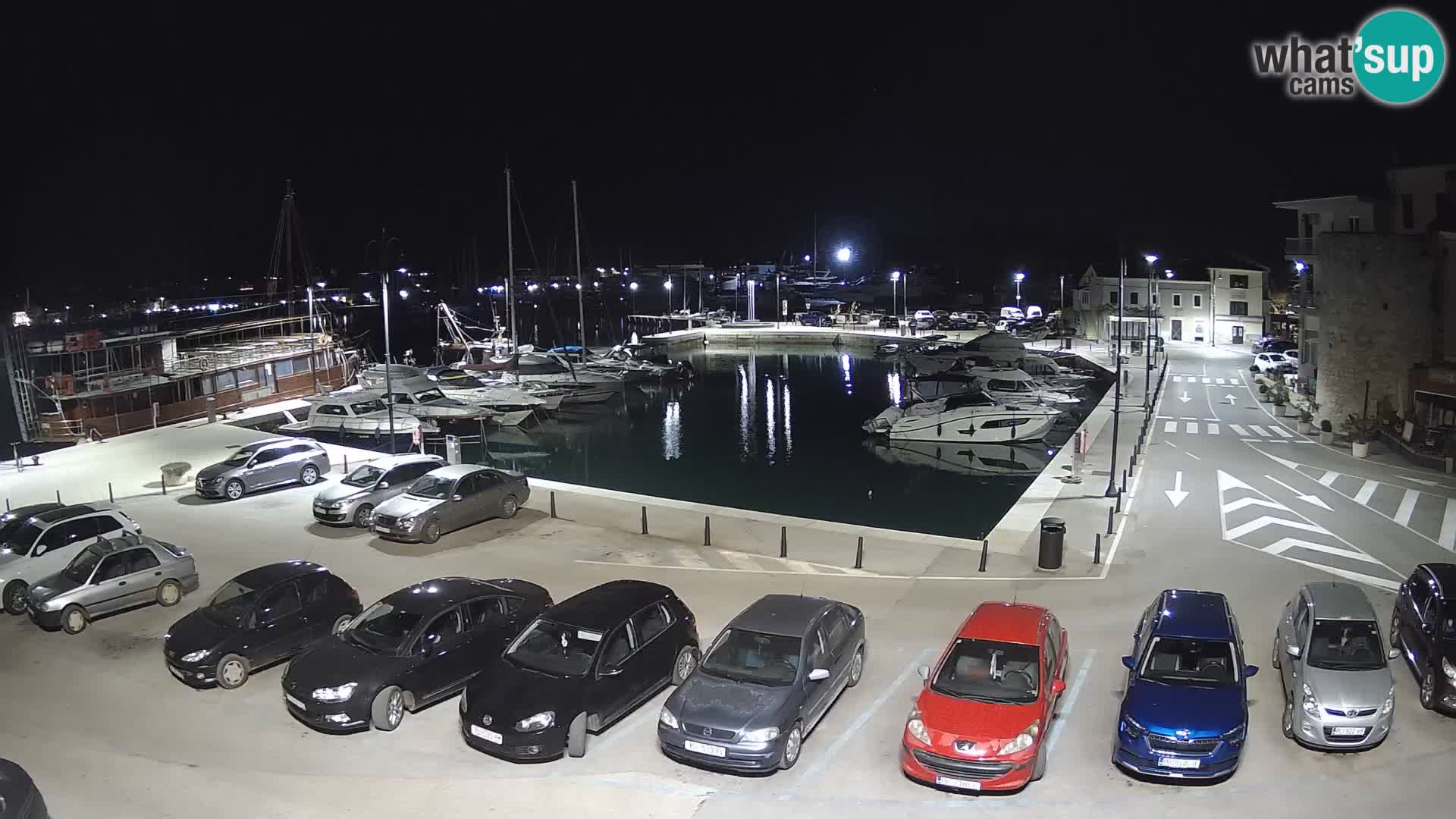 Novigrad | Porporela marina