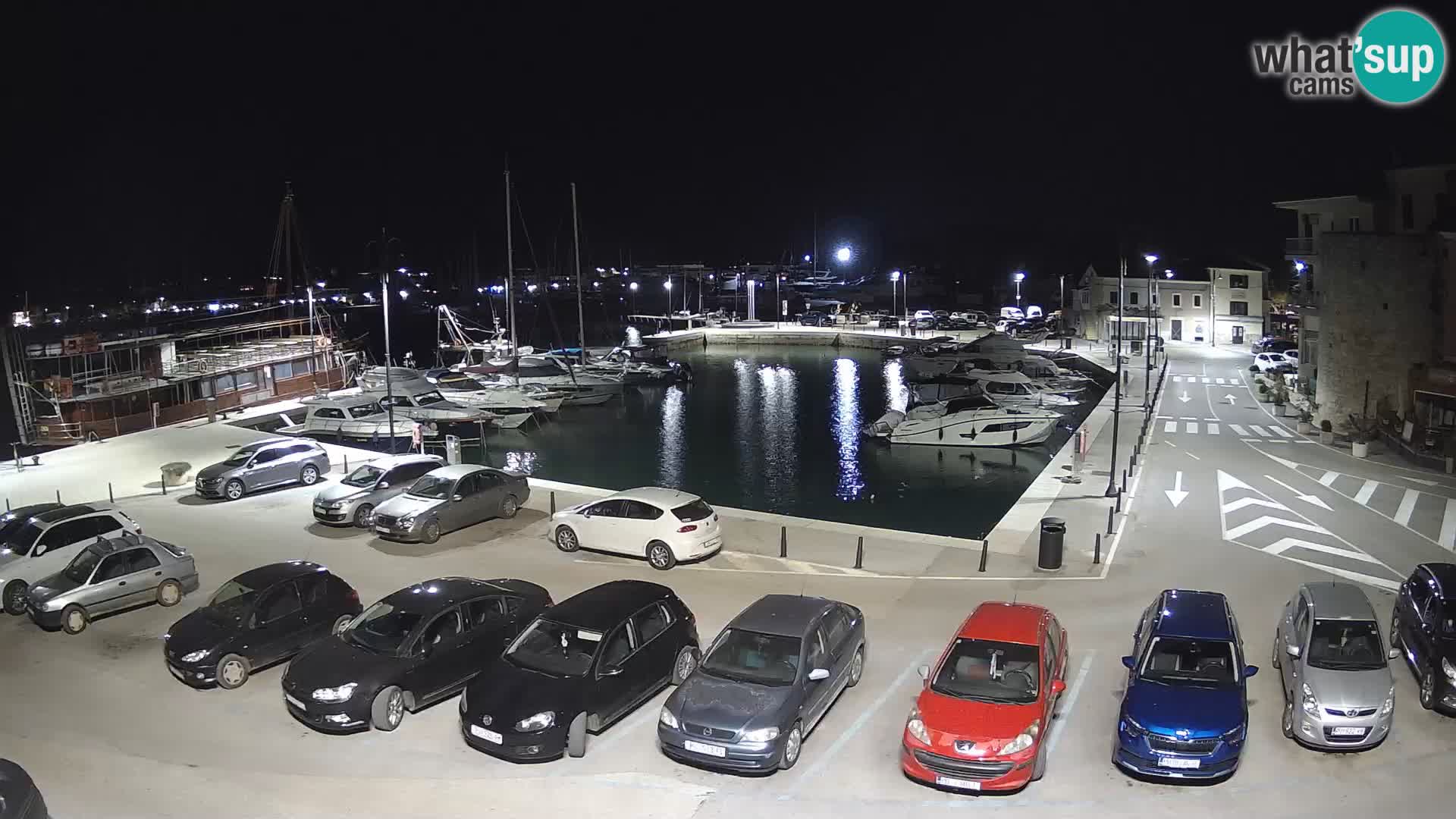 Novigrad | Porporela marina