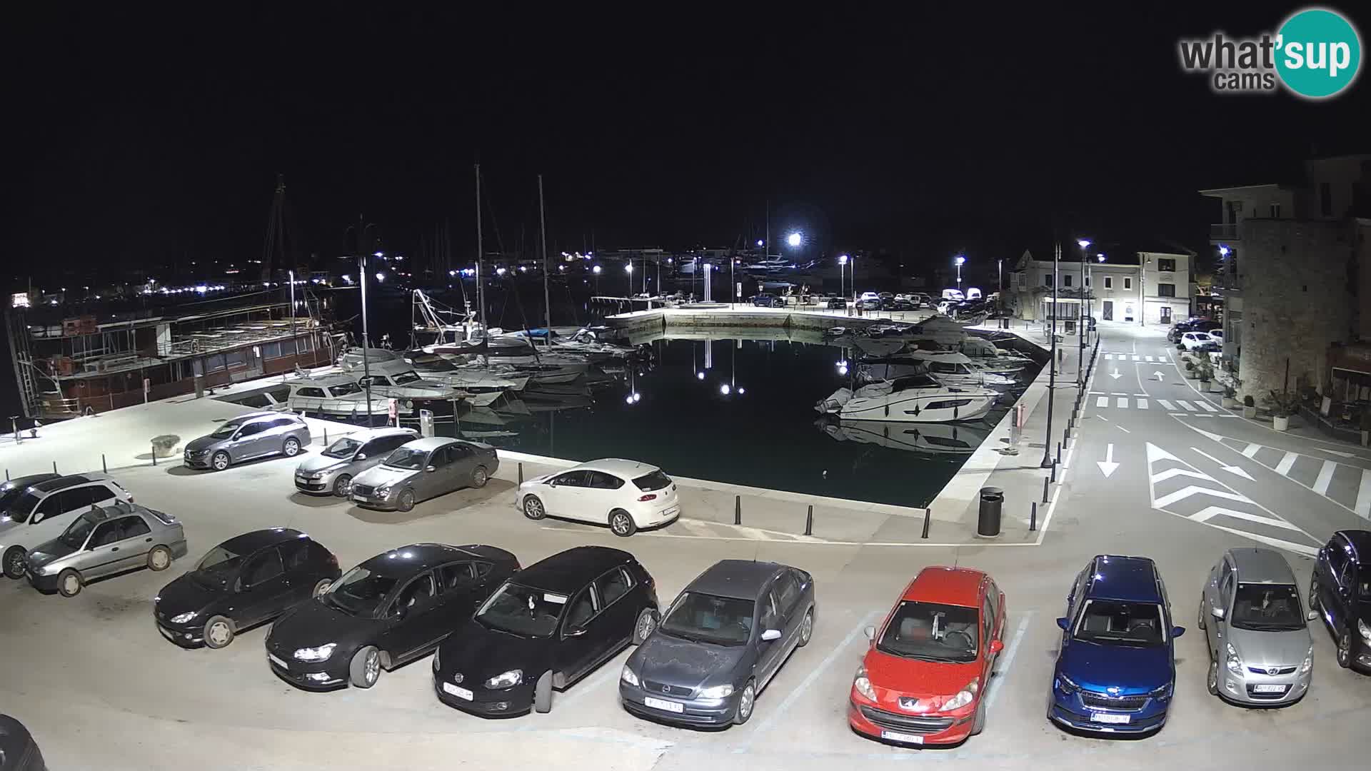 Novigrad | Porporela marina