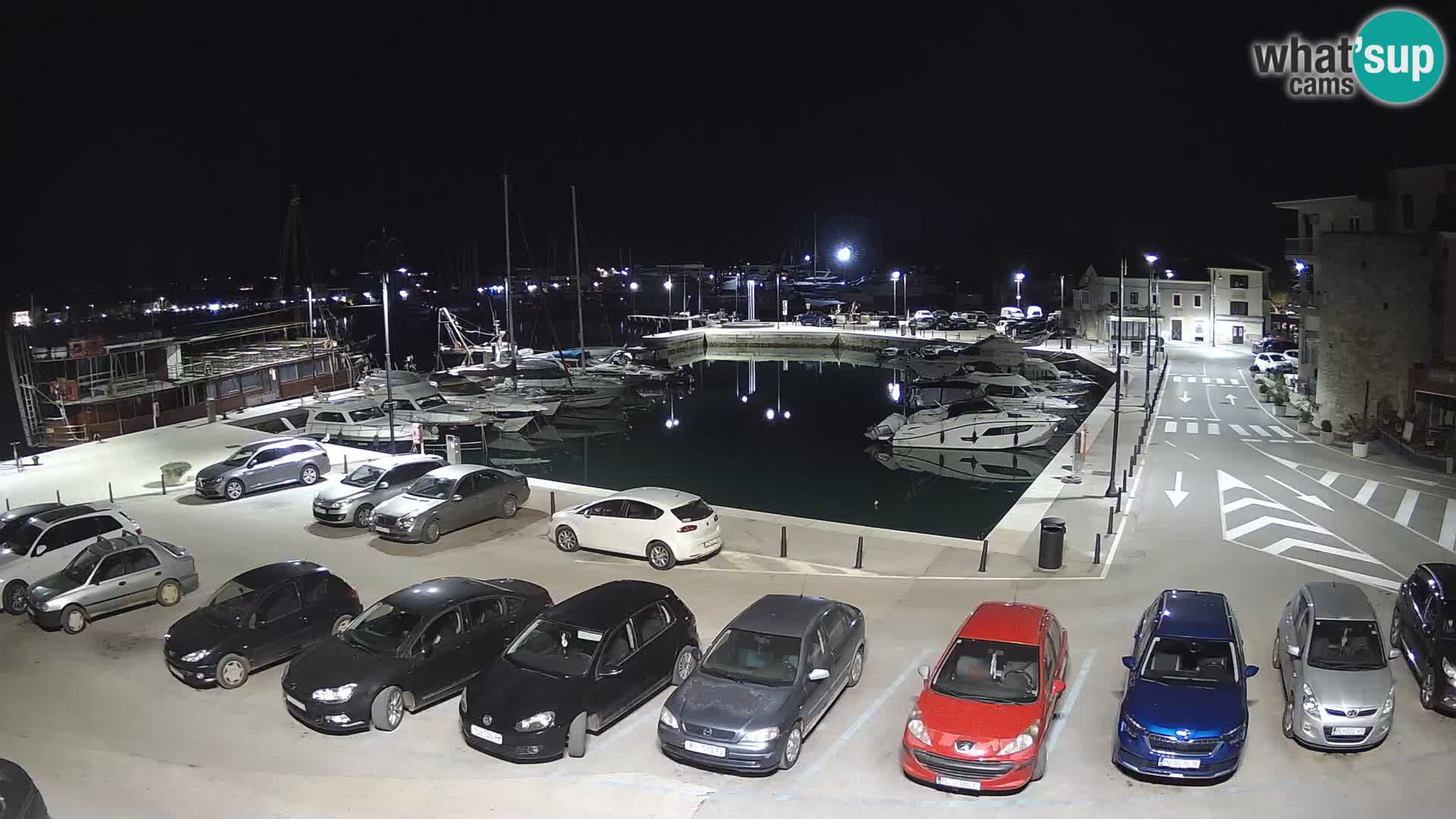 Novigrad | Porporela marina