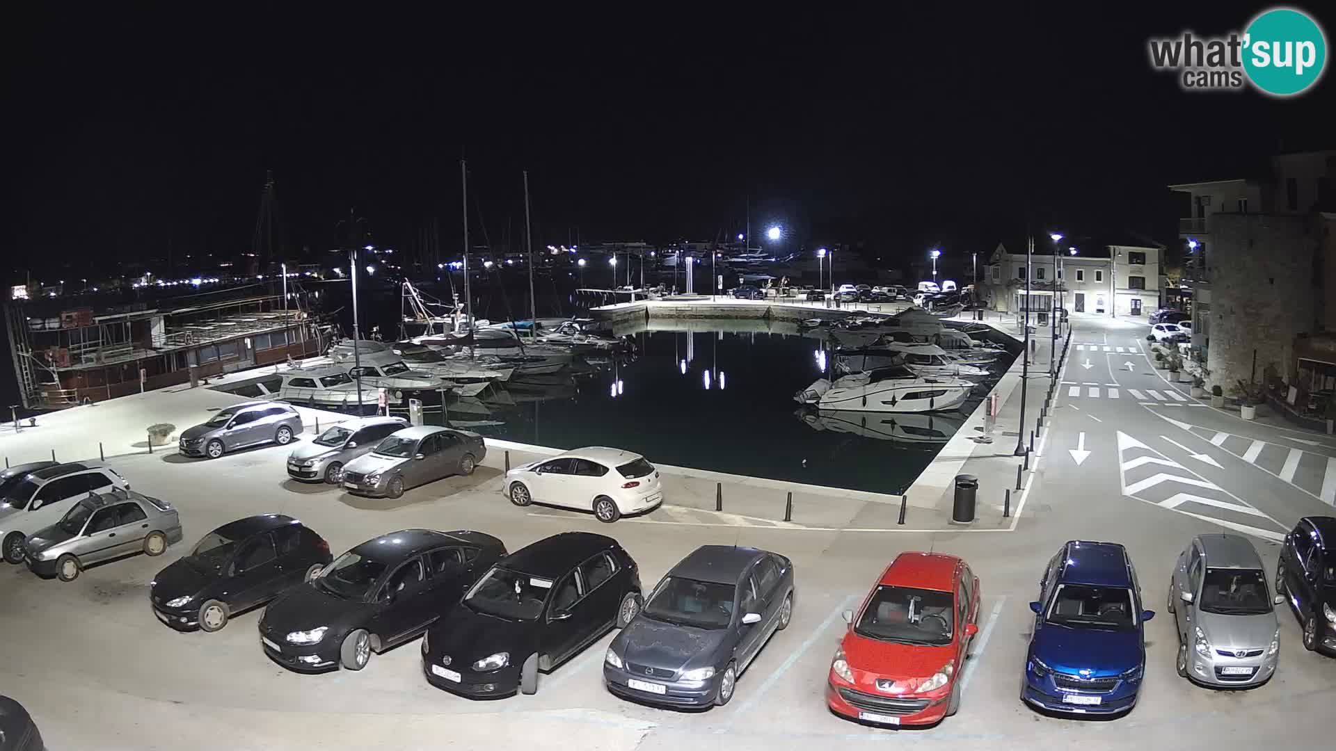 Novigrad | Porporela marina