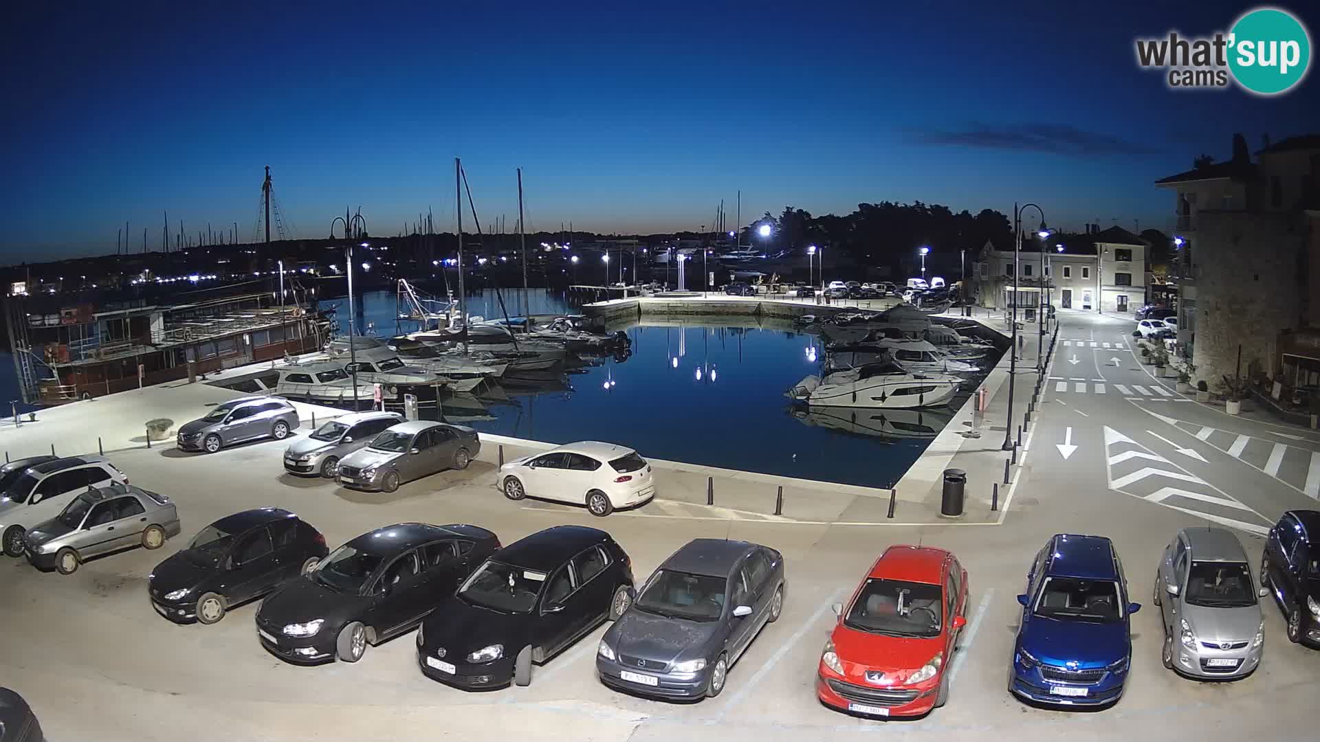 Novigrad | Porporela marina