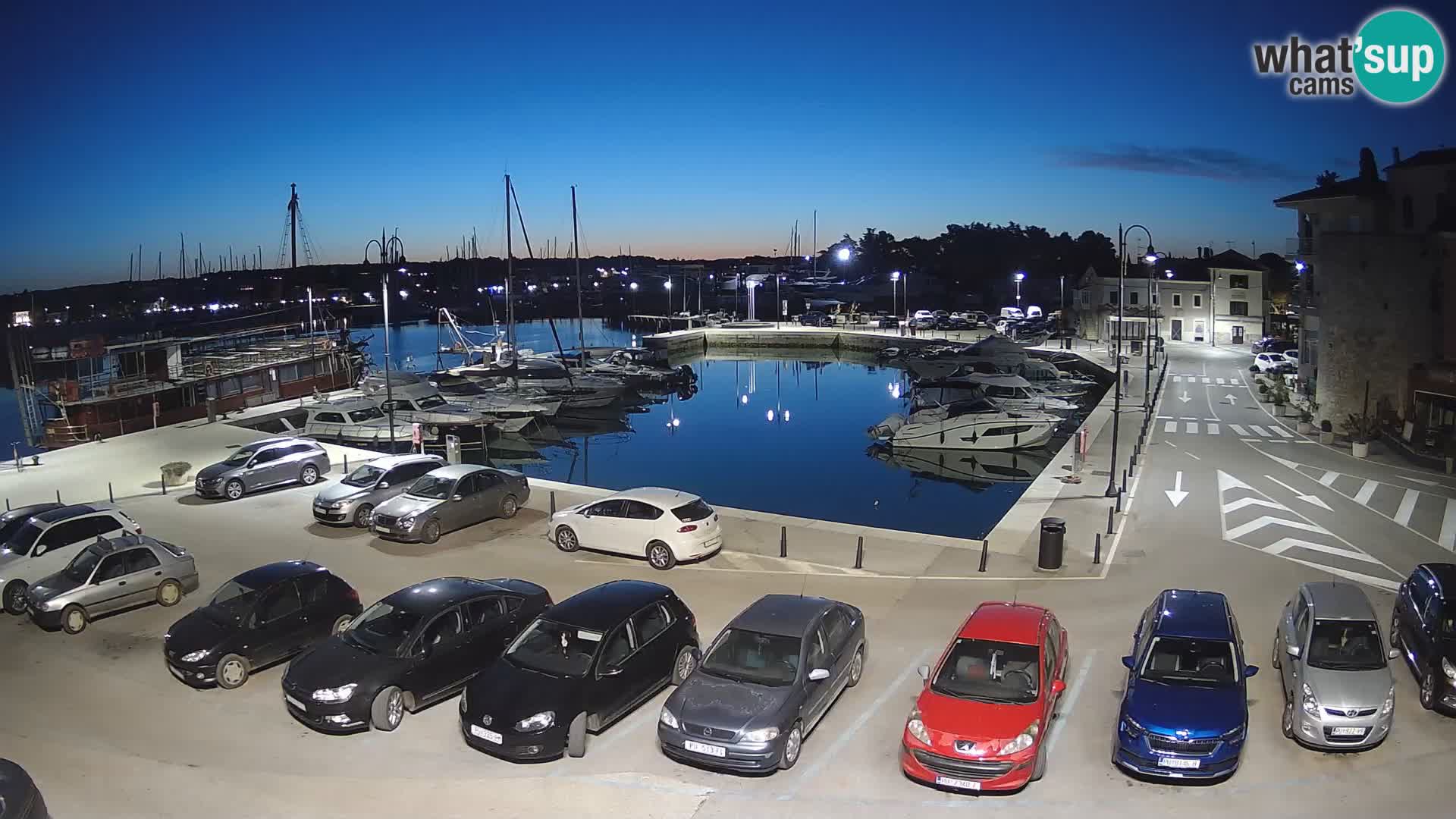 Novigrad | Porporela marina