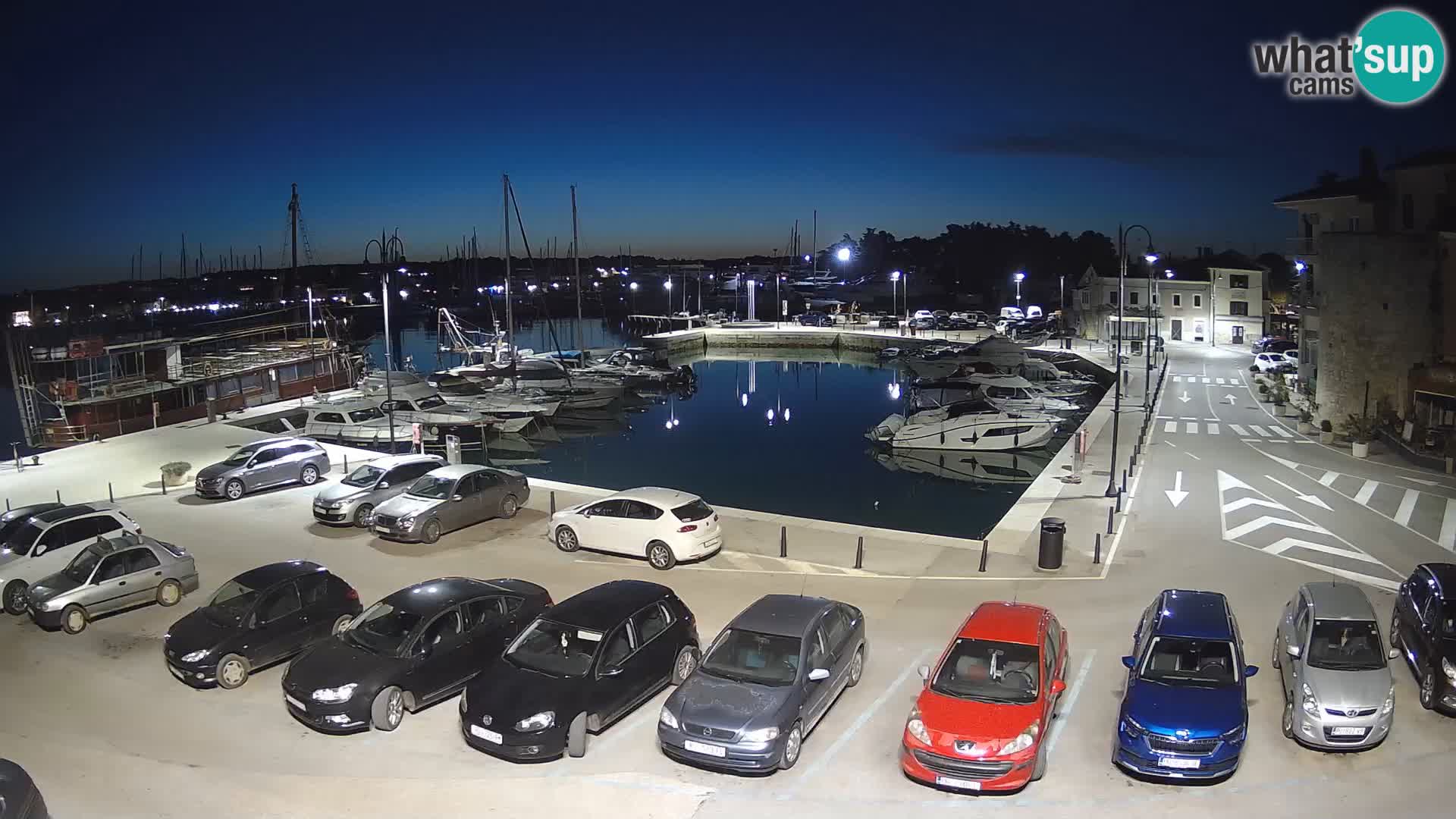 Novigrad | Porporela marina