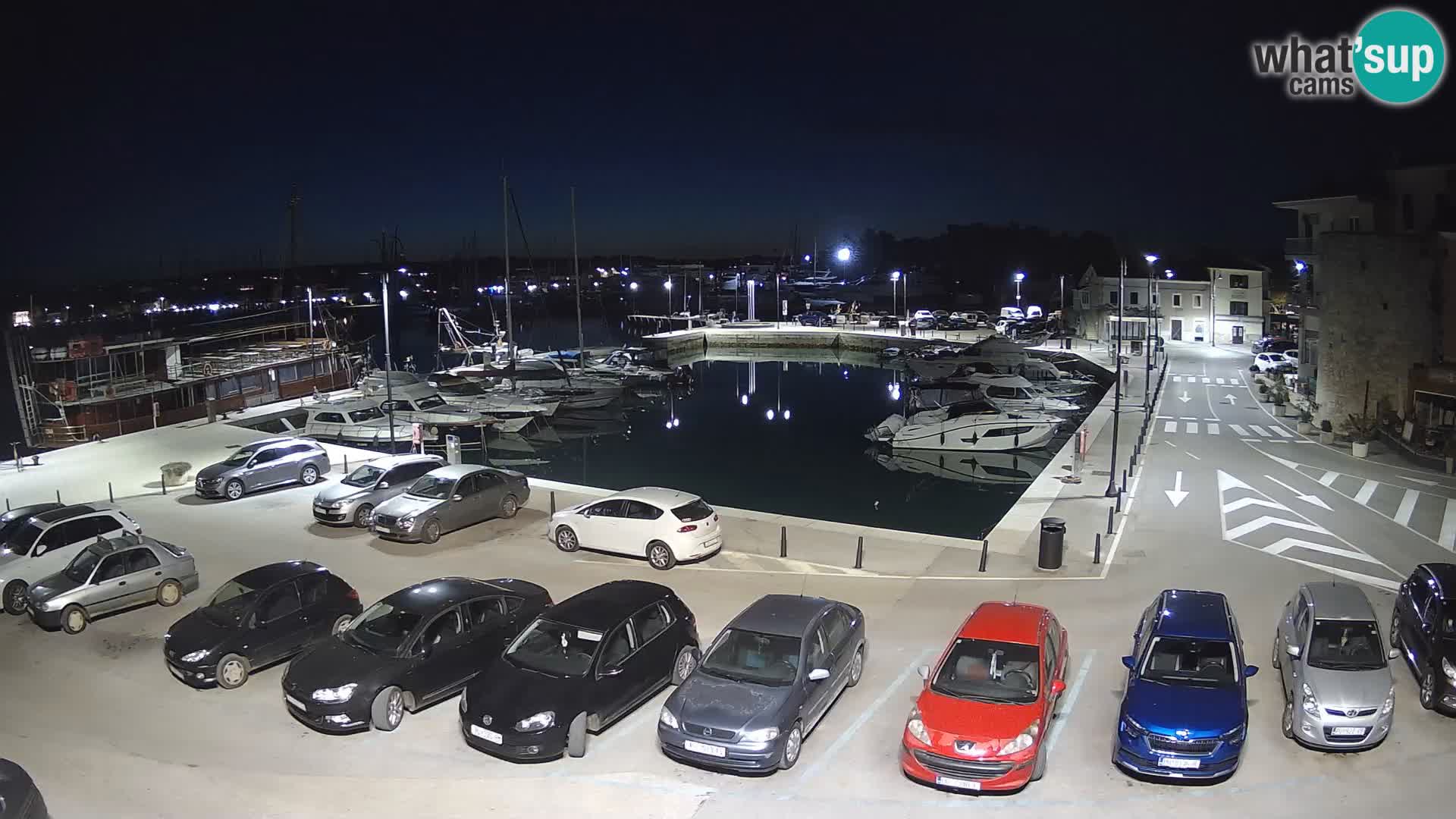 Novigrad | Porporela marina