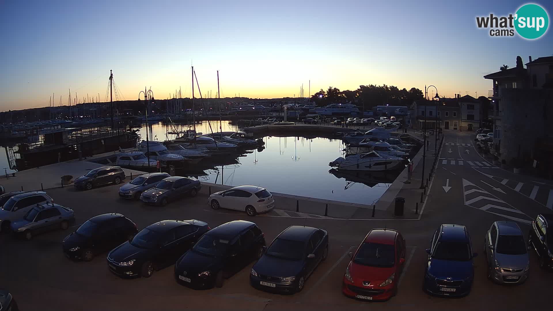 Novigrad | Porporela marina