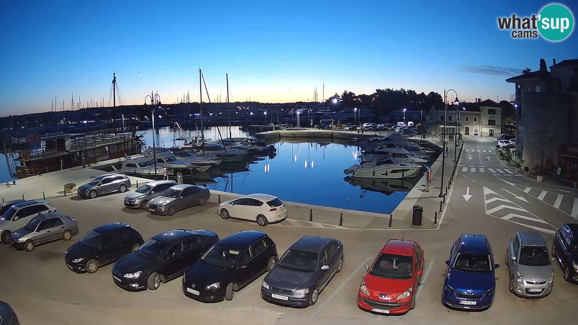 Novigrad | Porporela marina