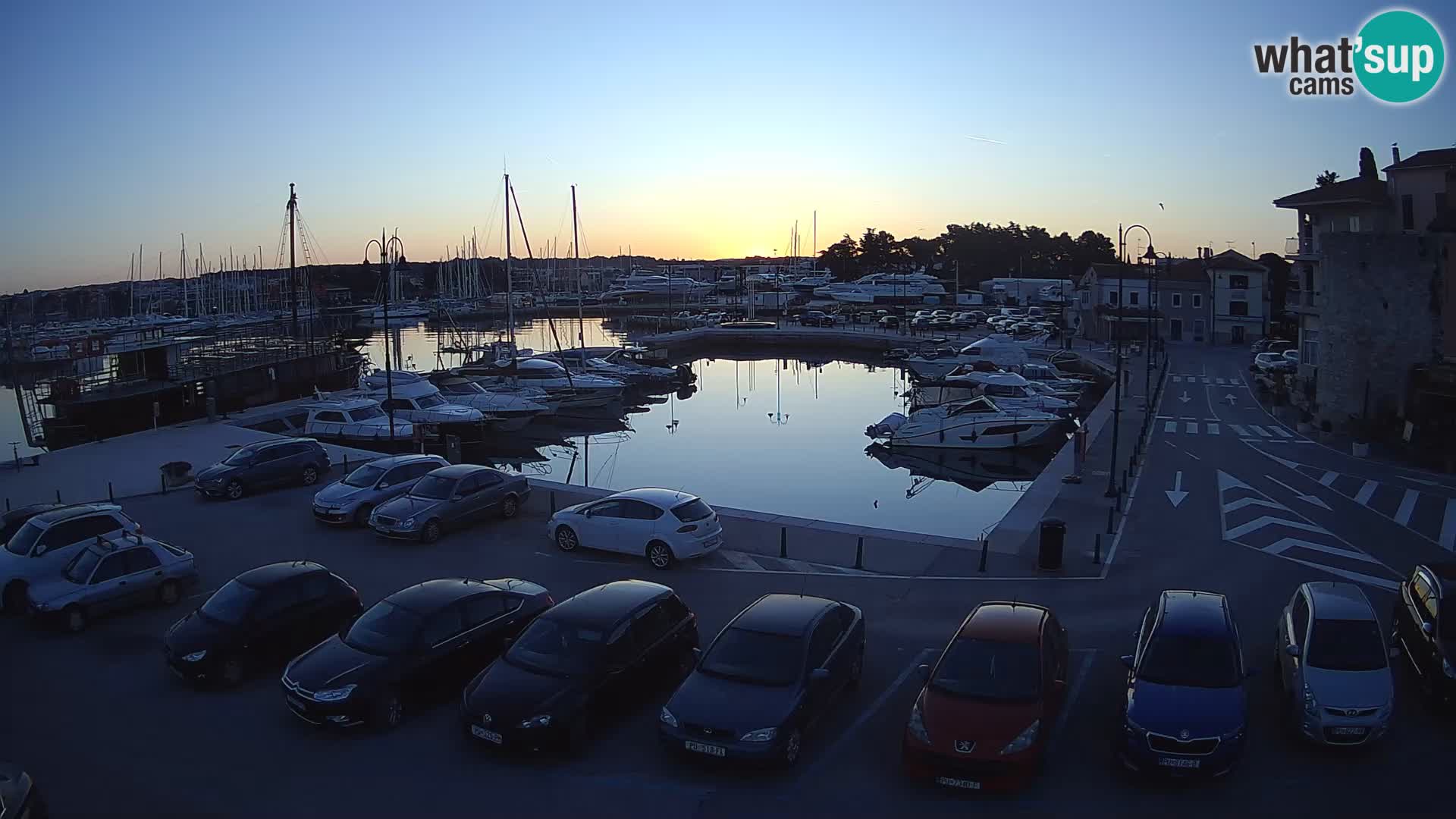 Novigrad | Porporela marina