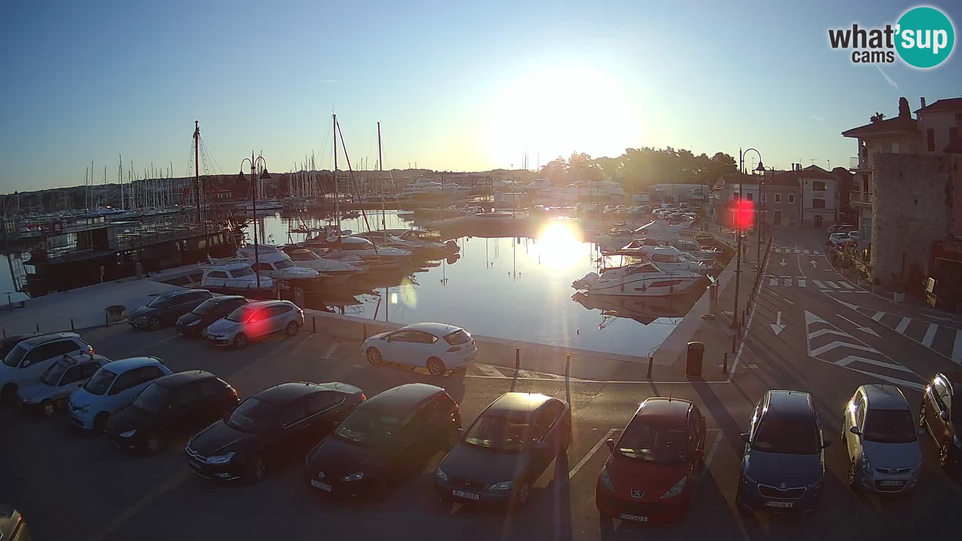 Novigrad | Porporela marina