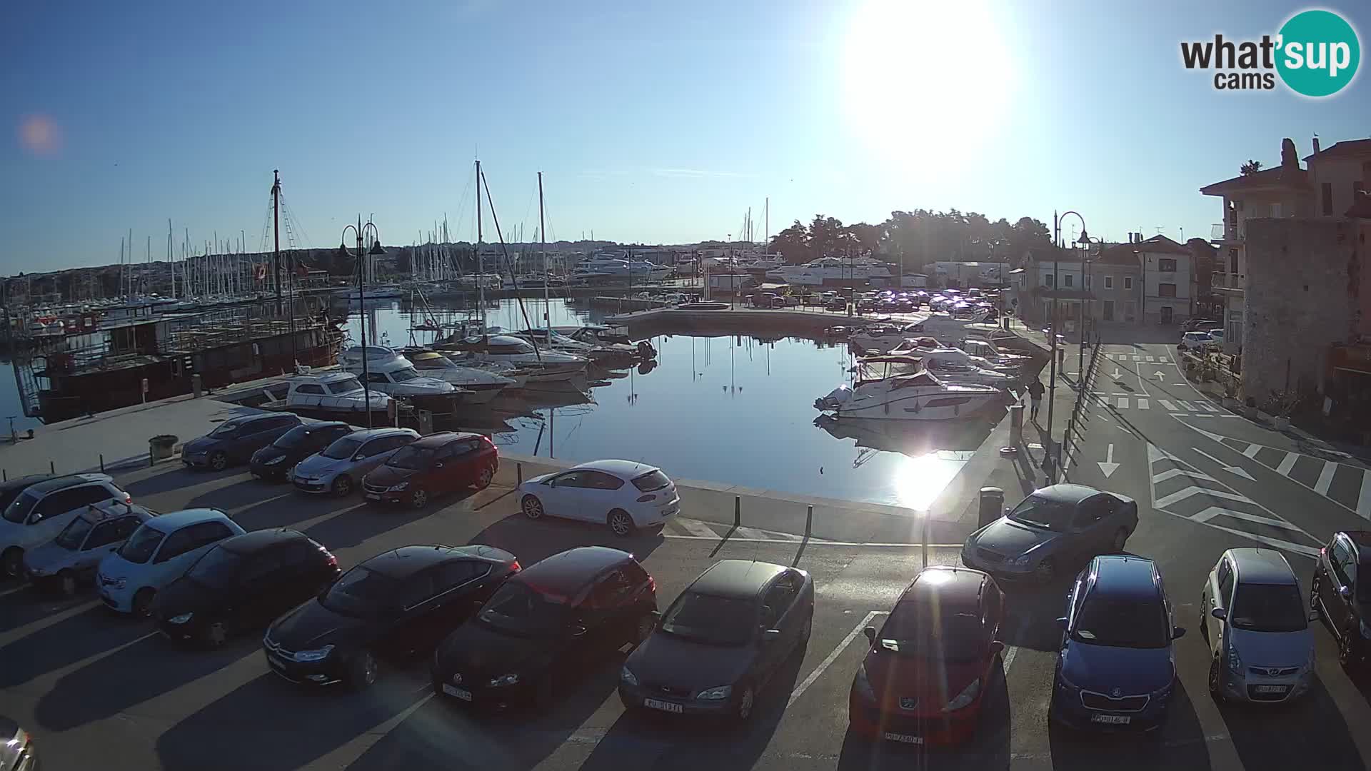 Novigrad | Porporela marina