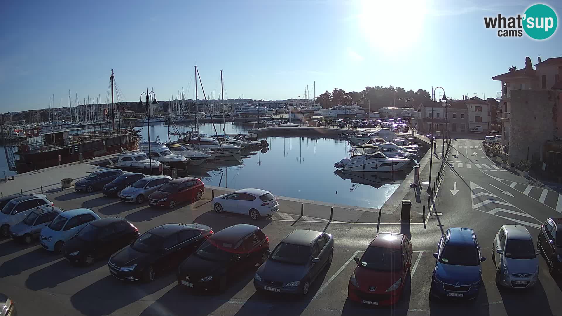 Novigrad | Porporela marina