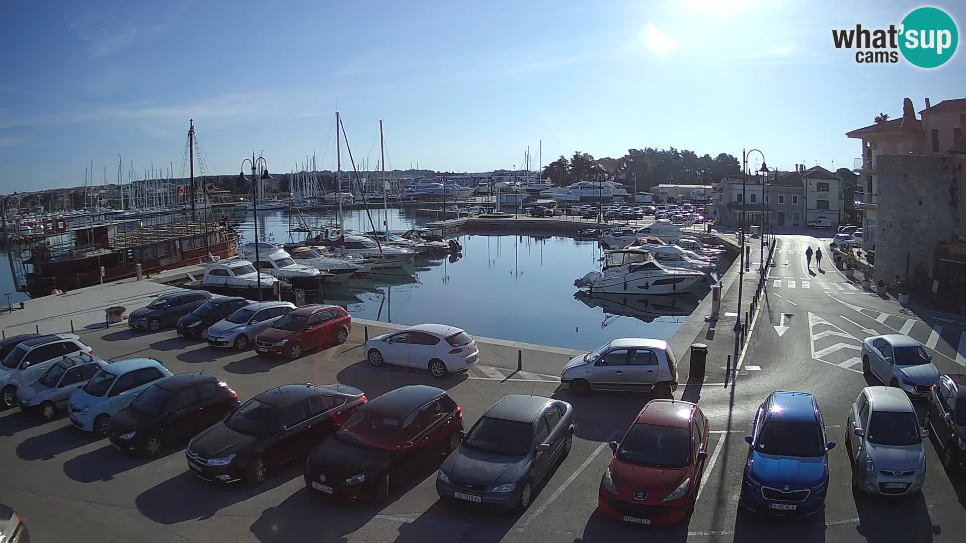 Novigrad | Porporela marina